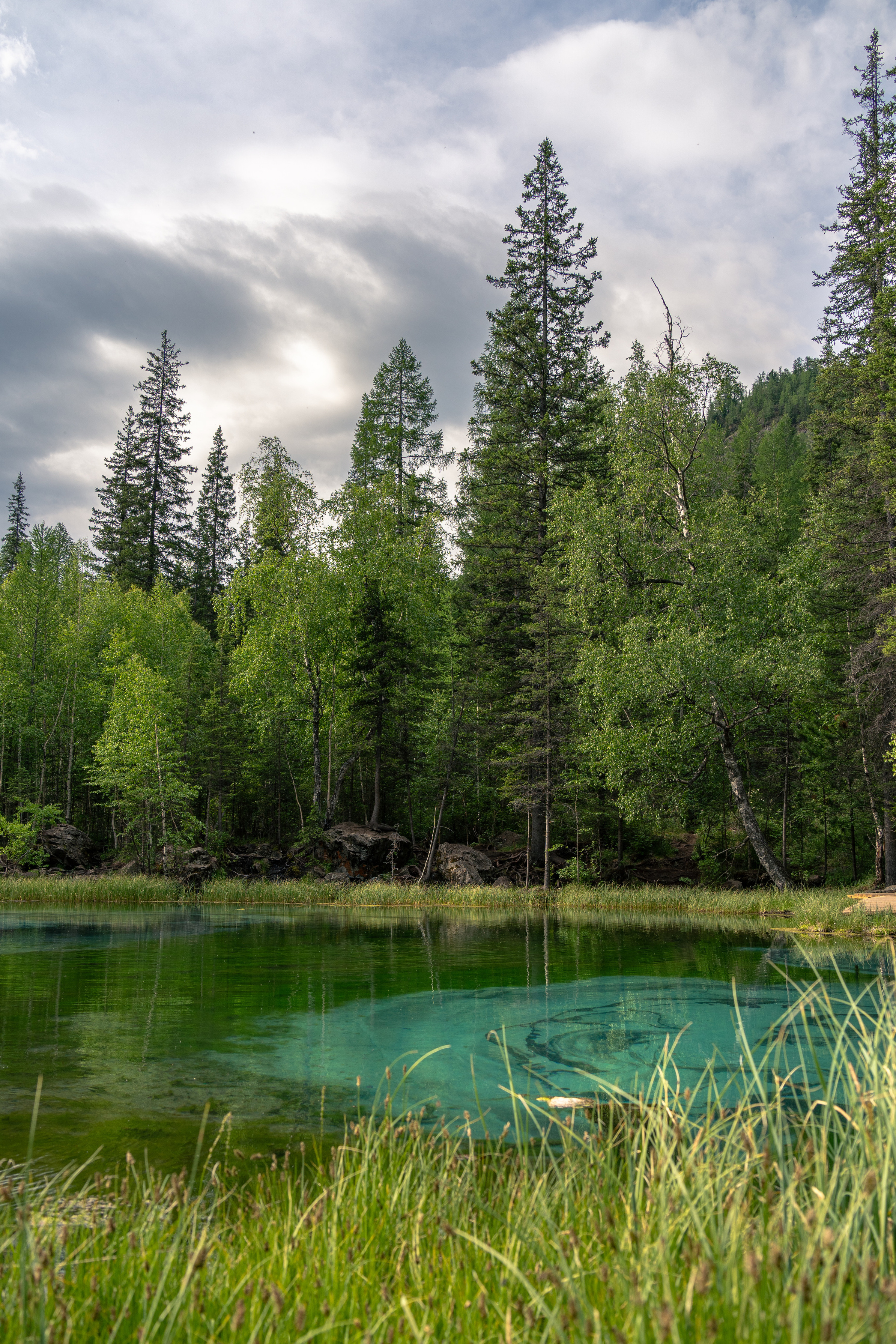 Amateur photographer Nikolai Abushinov