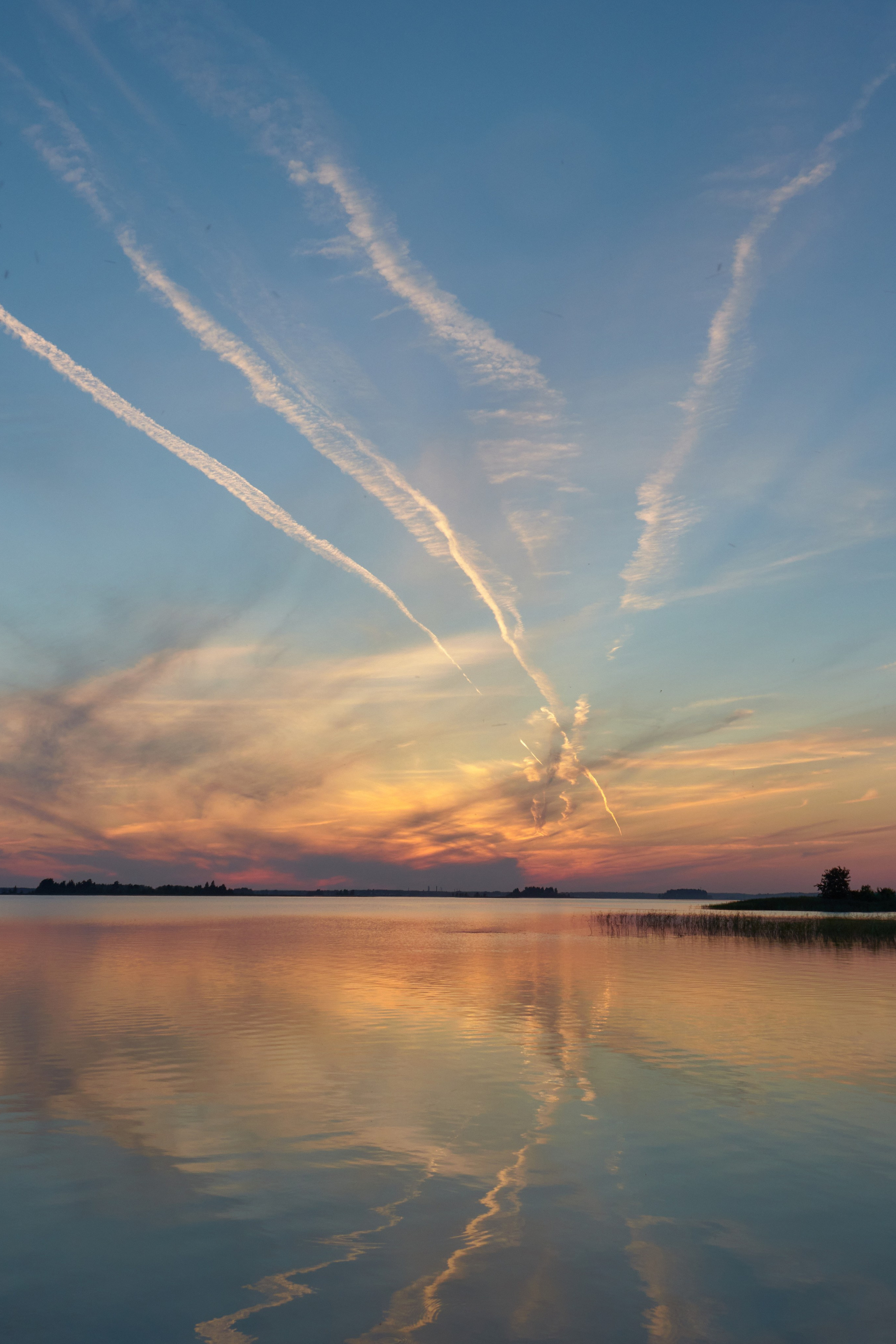 夏季在维什尼沃洛乔克 – 捕捉大自然四季的摄影系列