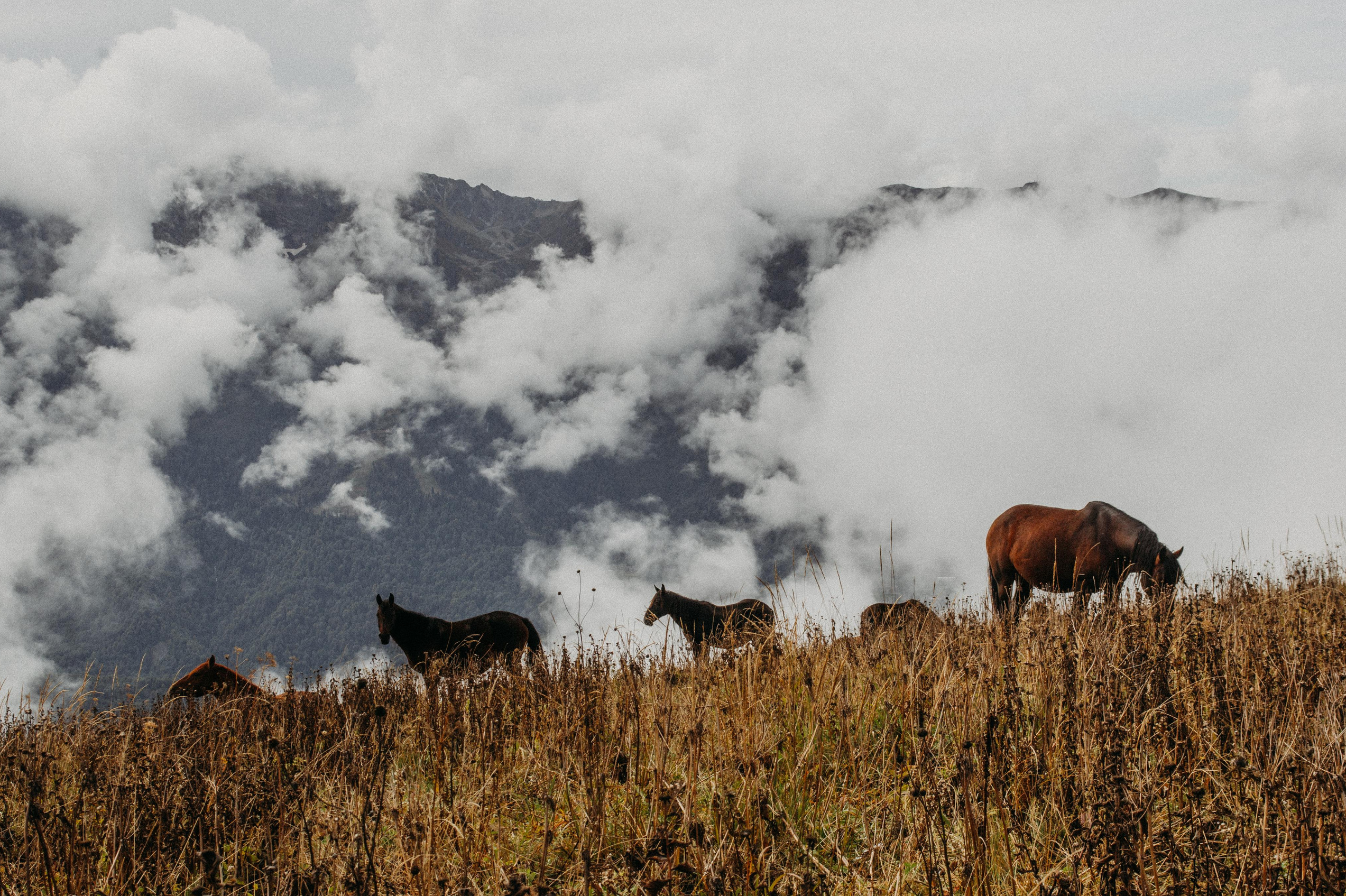 Спортивный репортаж
