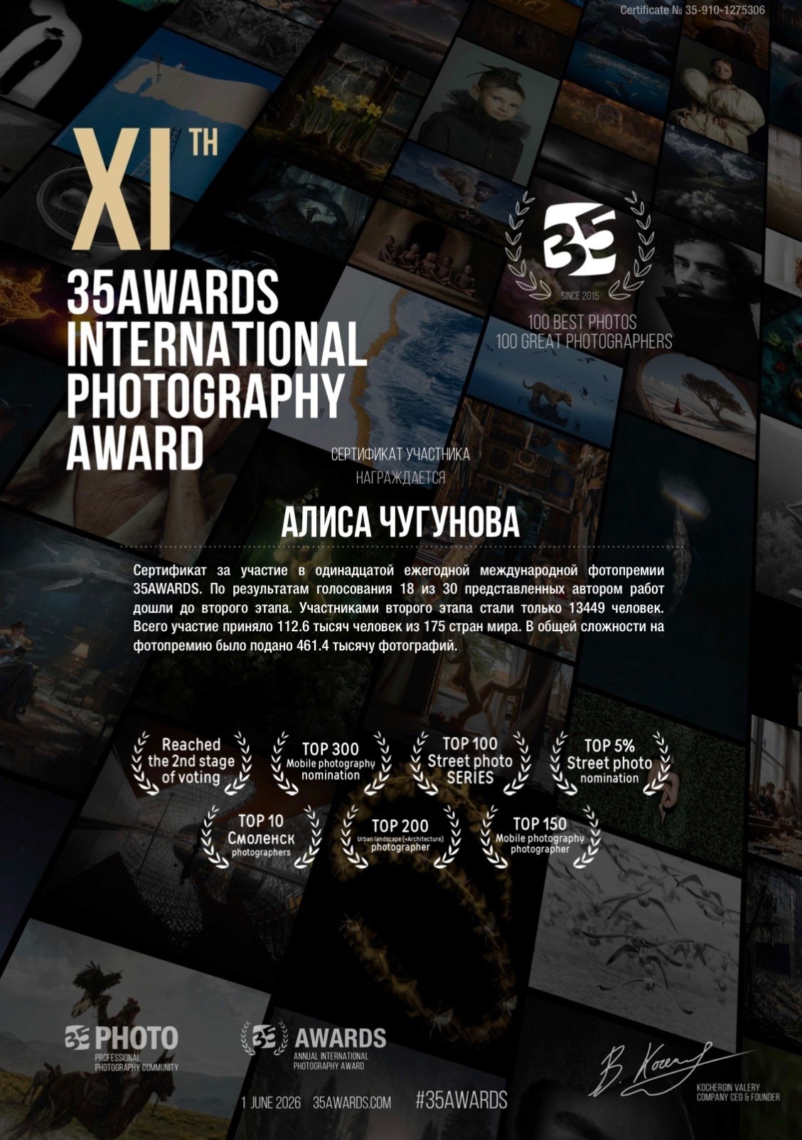Итоги 11й фотопремии 35 AWARDS. Алиса Чугунова. Художественная фотография