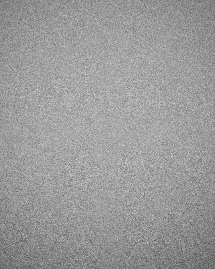 Фоны. Фотограф анималист в Санкт-Петербурге Таша Крейв