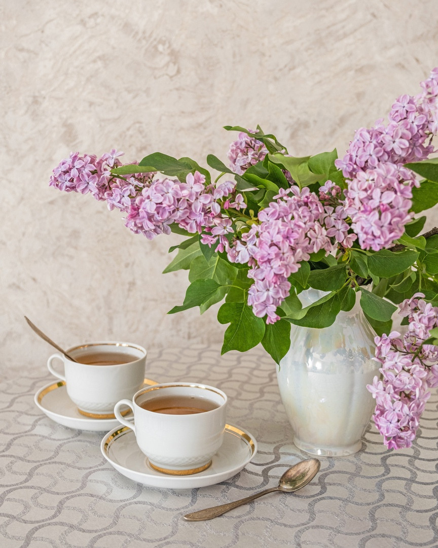 Lilac inspiration. Фотограф и искусствовед в Туле и Санкт-Петербурге Нелли Некрасова