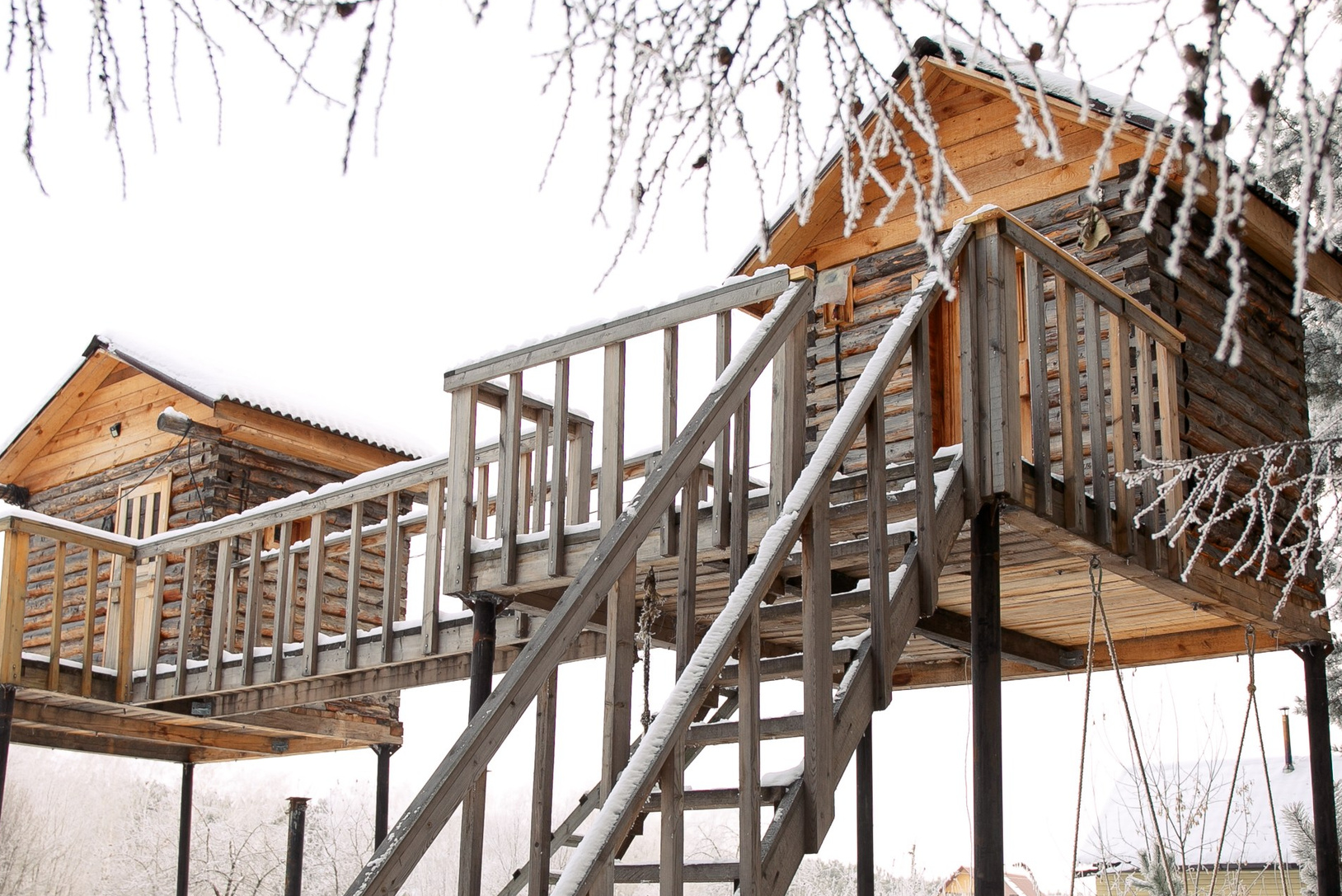 Банный отдых. Конные прогулки в клубе «Анкор» — Омск