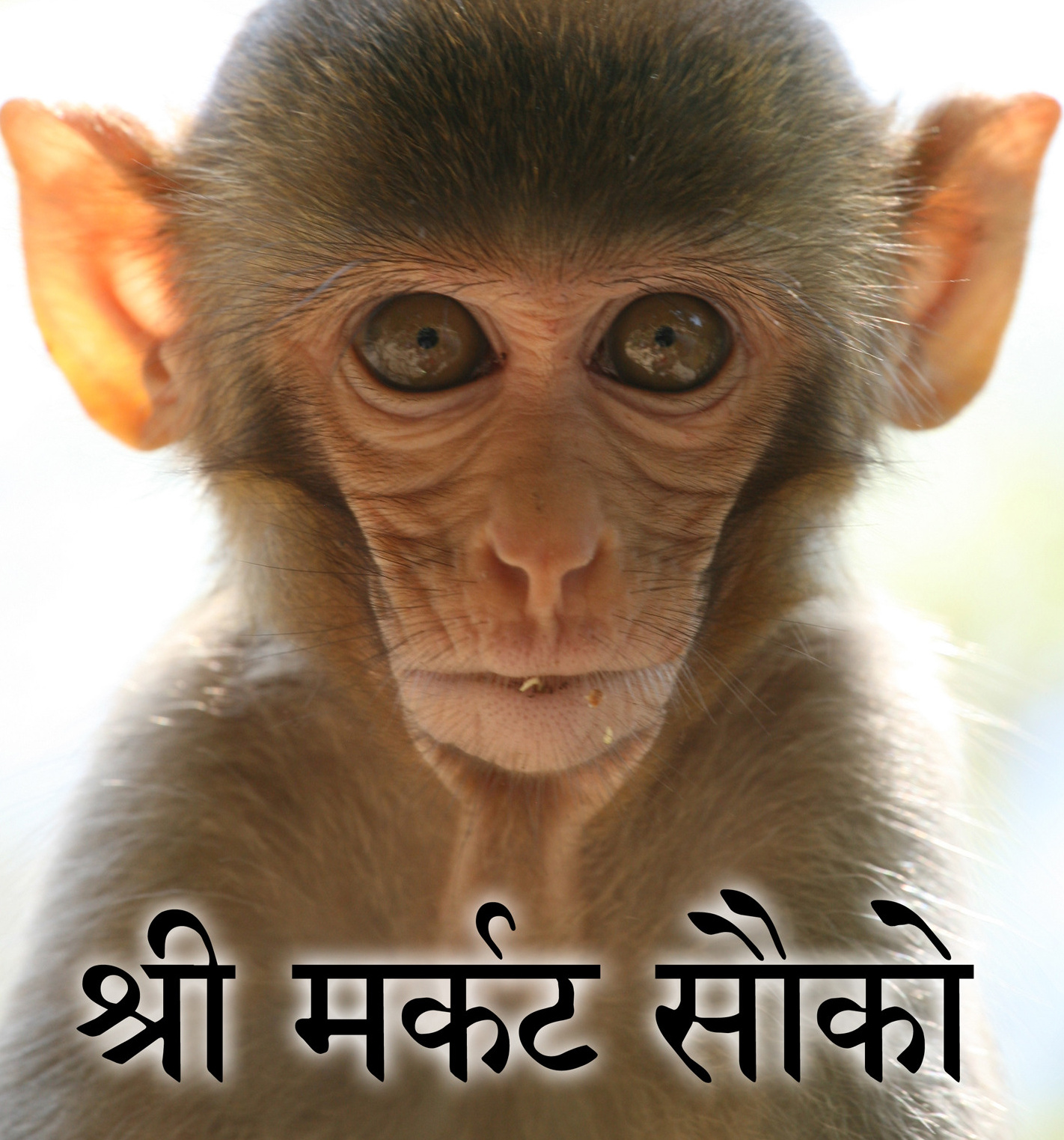 Контакты. Art by Max Sauco