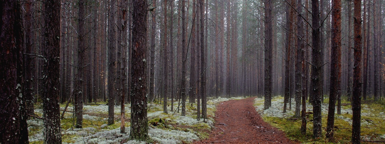 Руслан Шувалов (поэтограф)