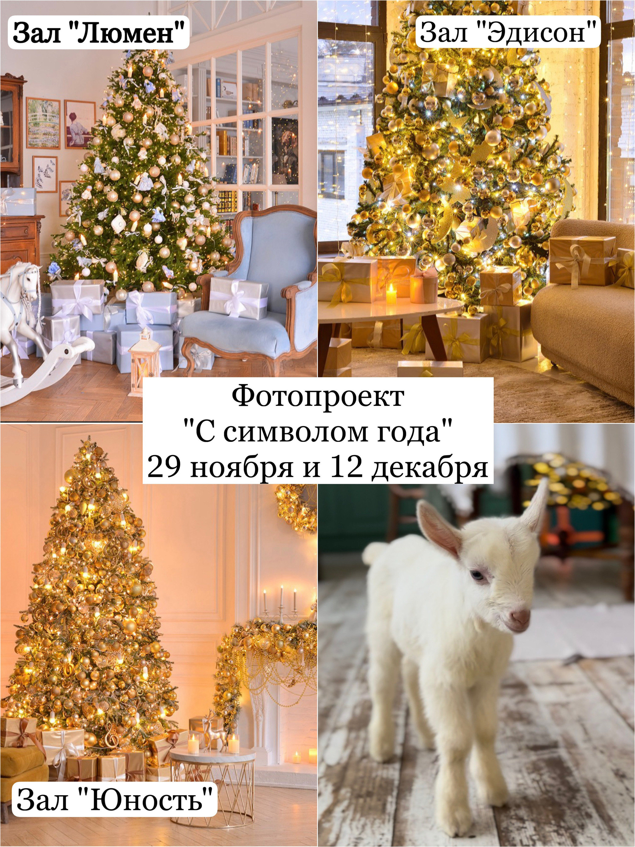 Фотопроекты, фотодни и фотосессии в Москве