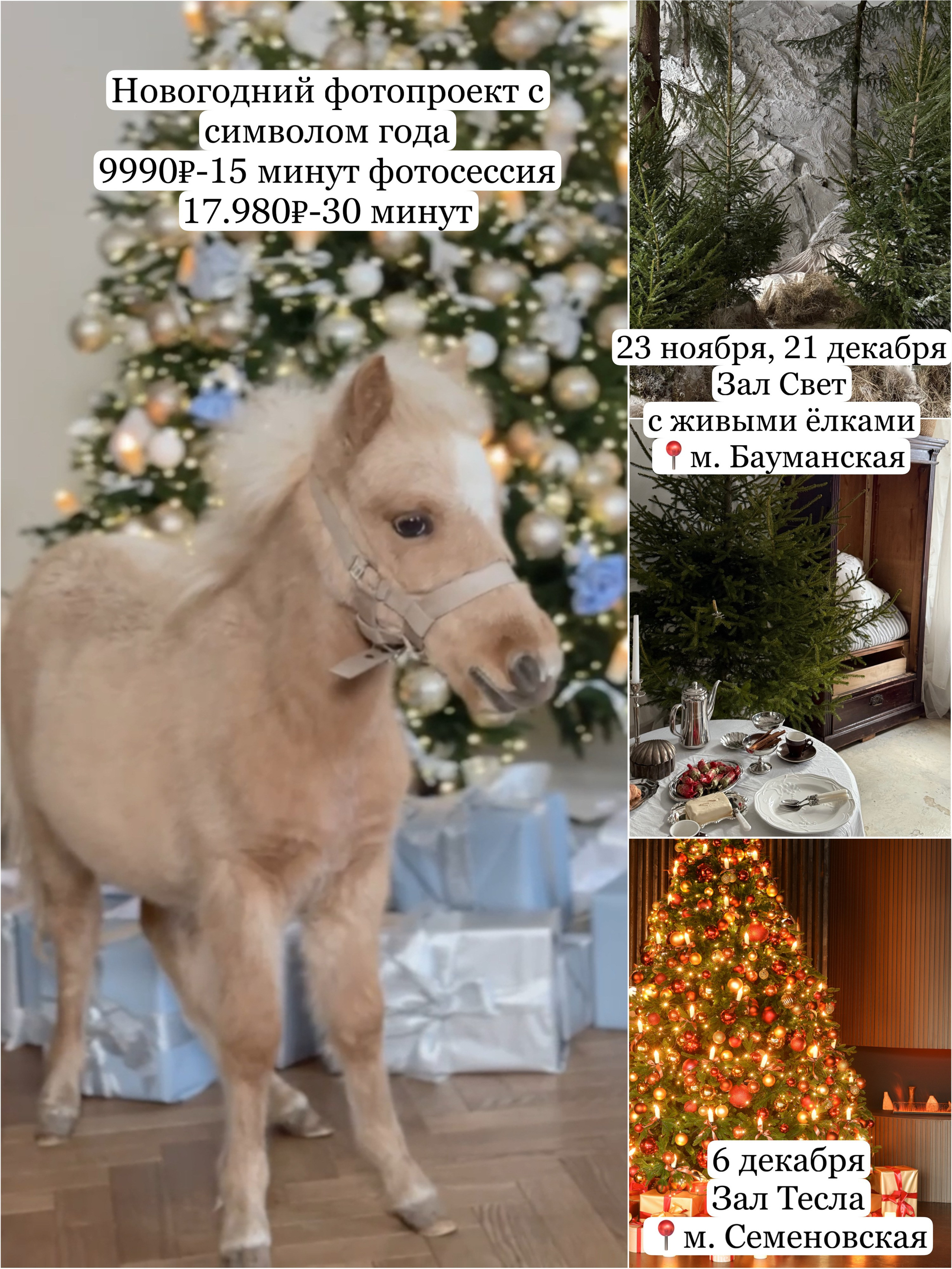 Фотопроекты, фотодни и фотосессии в Москве