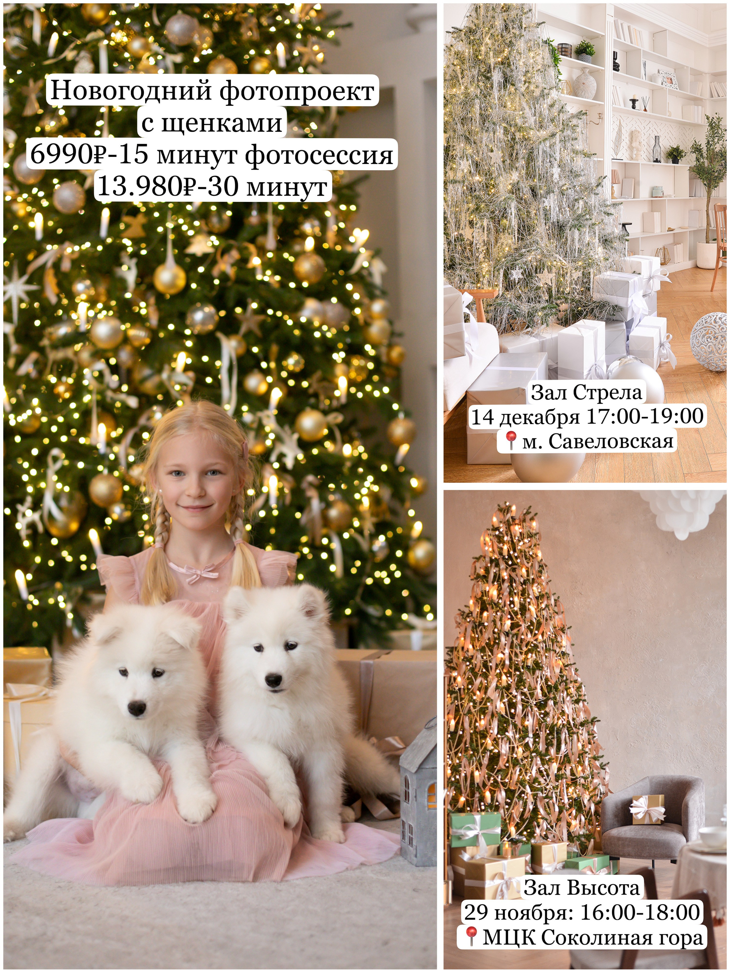 Фотопроекты, фотодни и фотосессии в Москве