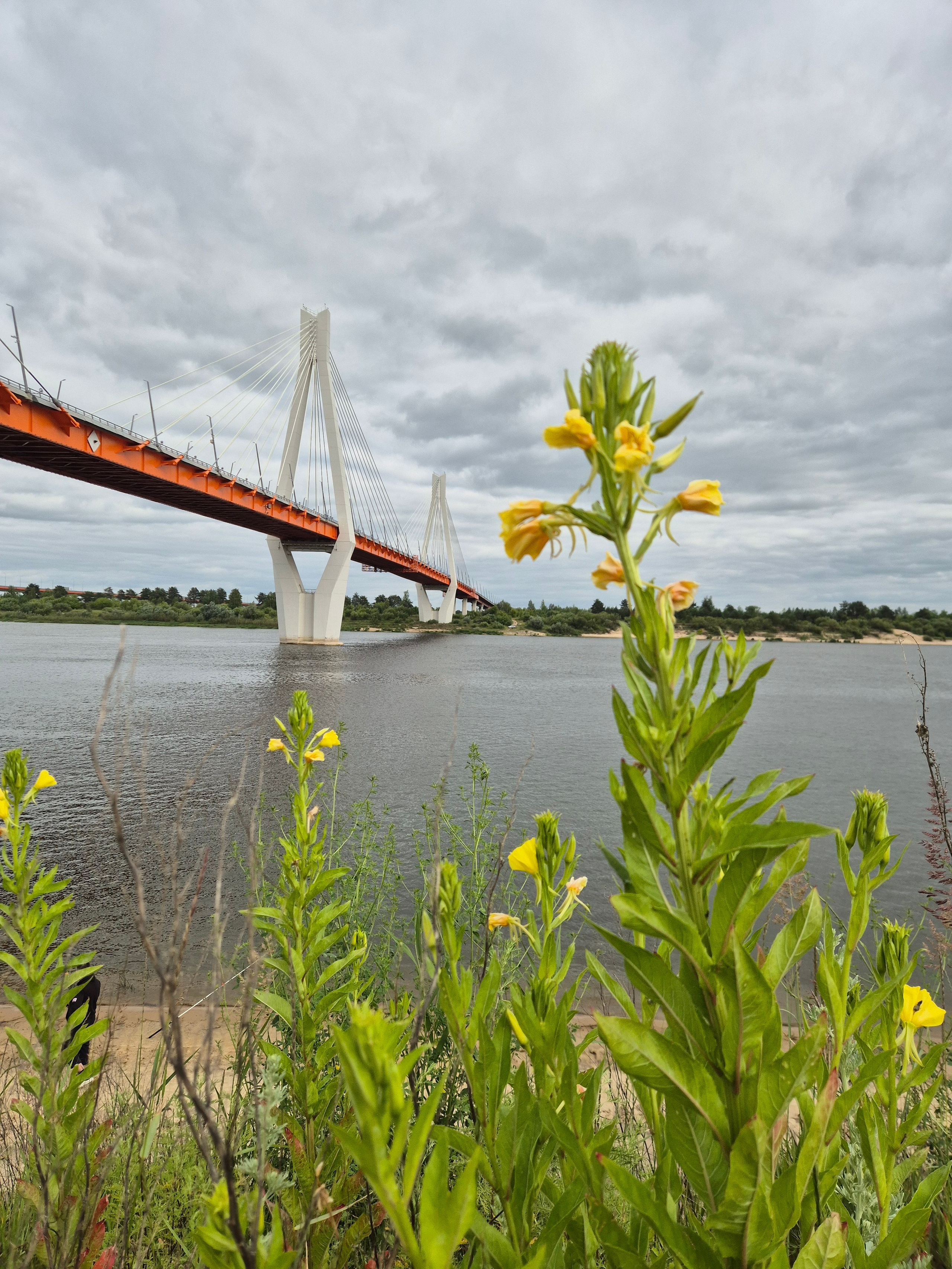 Плавание. Walk & Fly with Batay