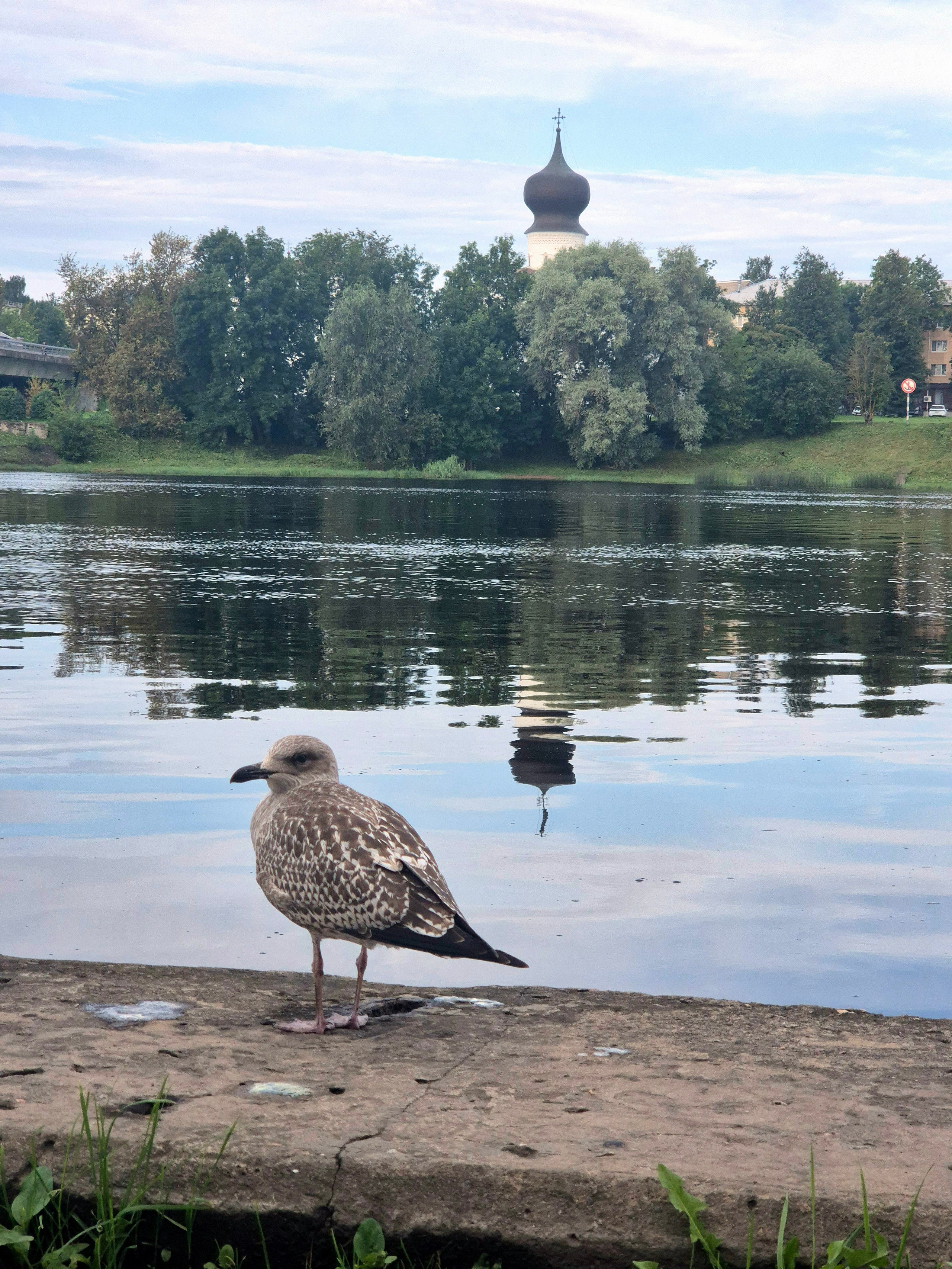 Россия. Walk & Fly with Batay