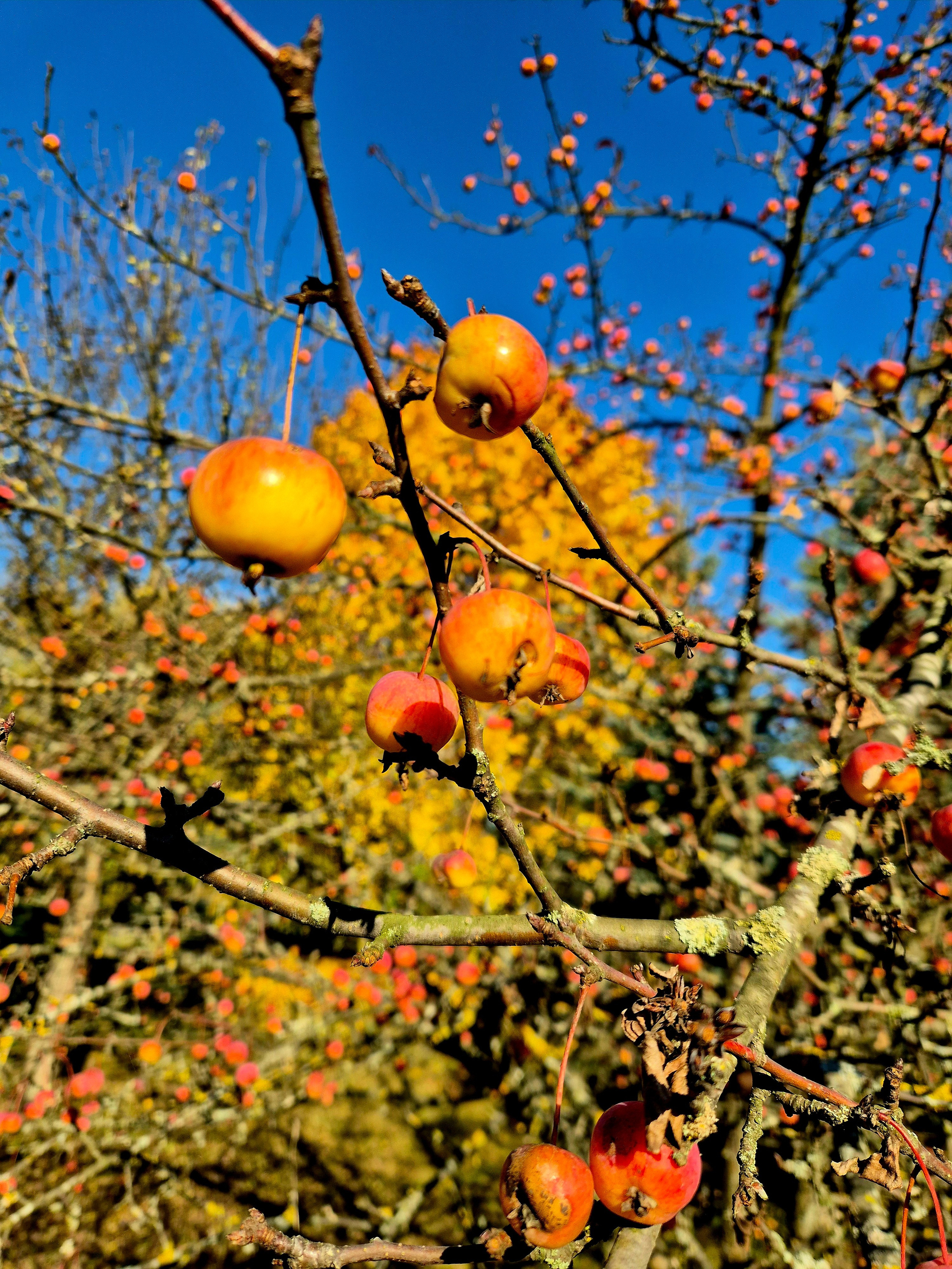 Беларусь. Walk & Fly with Batay