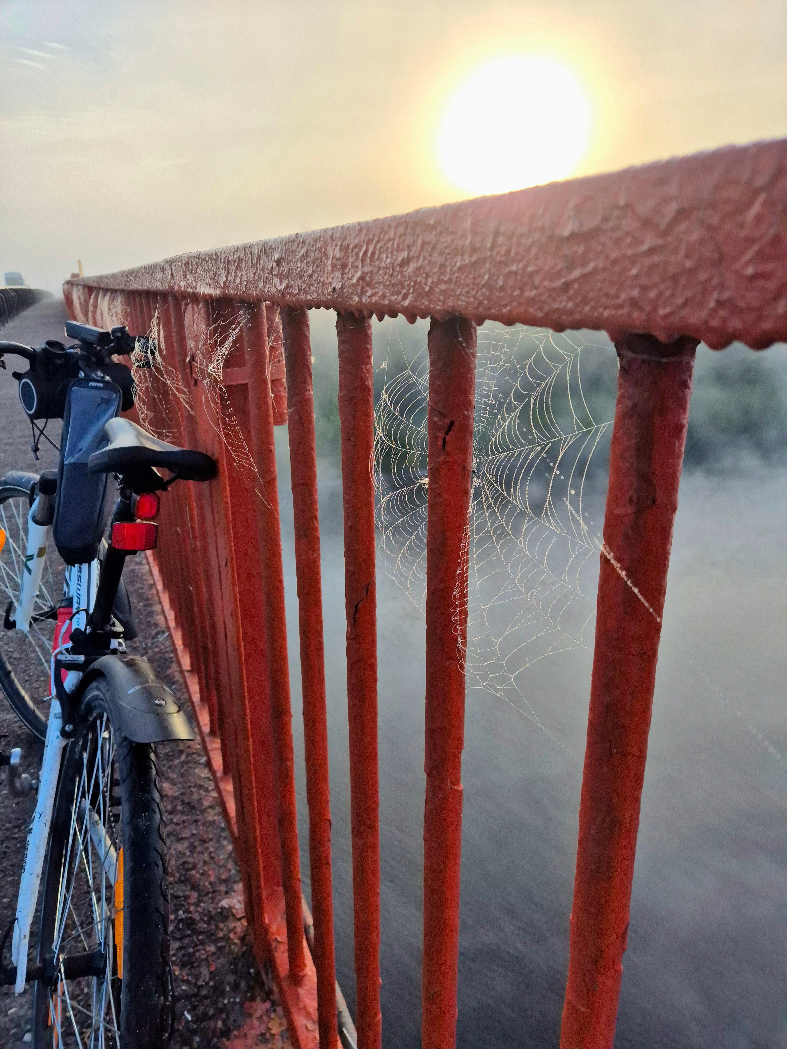 Россия. Москва. Walk & Fly with Batay