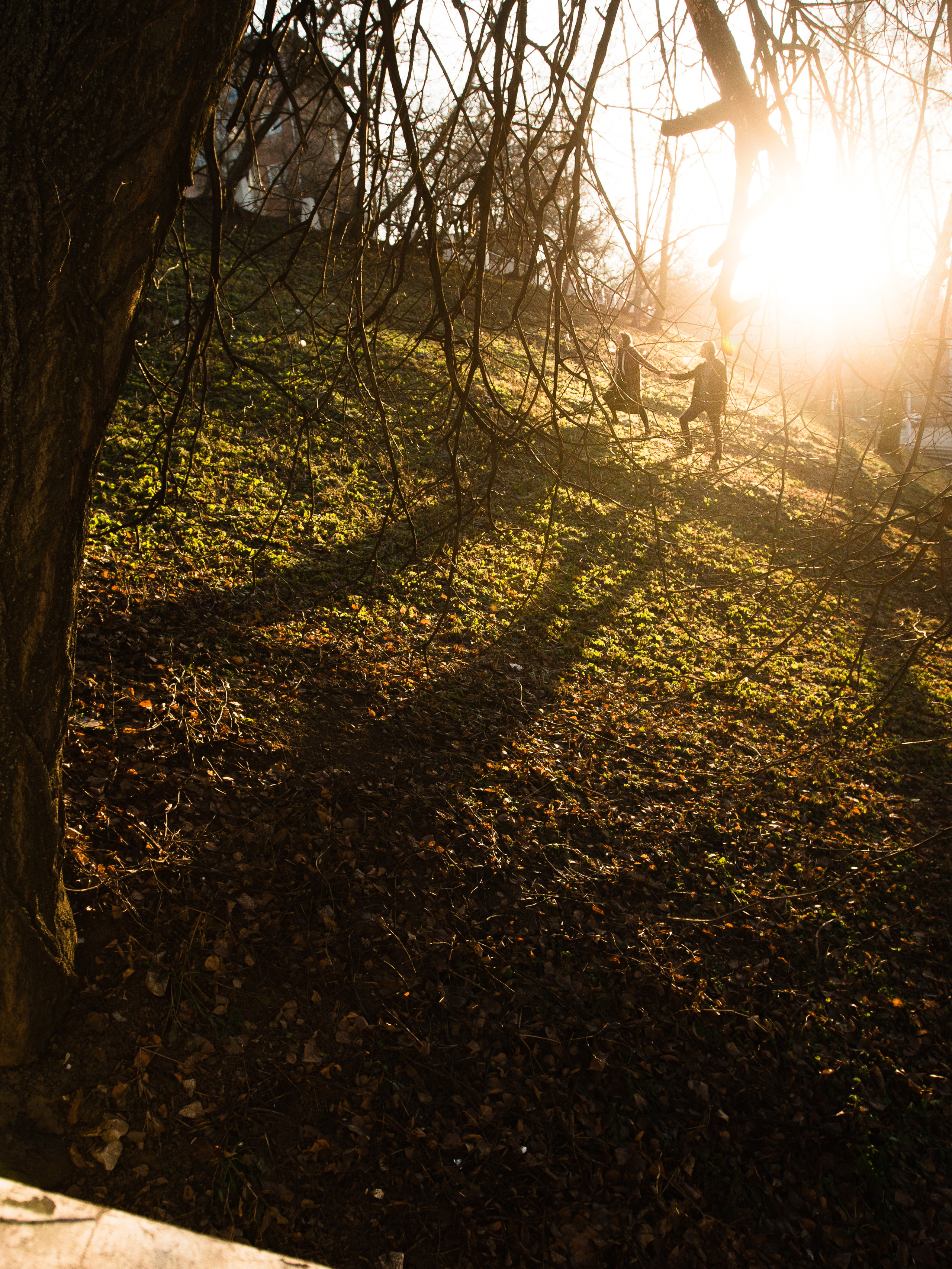 Year of love | NFT Collection 2022 | OpenSea. Фотограф Чугунов Александр