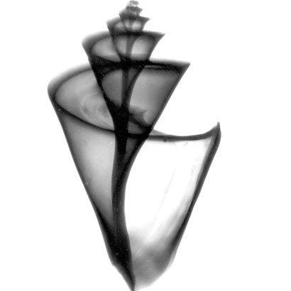 Игра «Лила». Фотограф, психолог в Москве, Жуковском, Раменском Галина Майлер