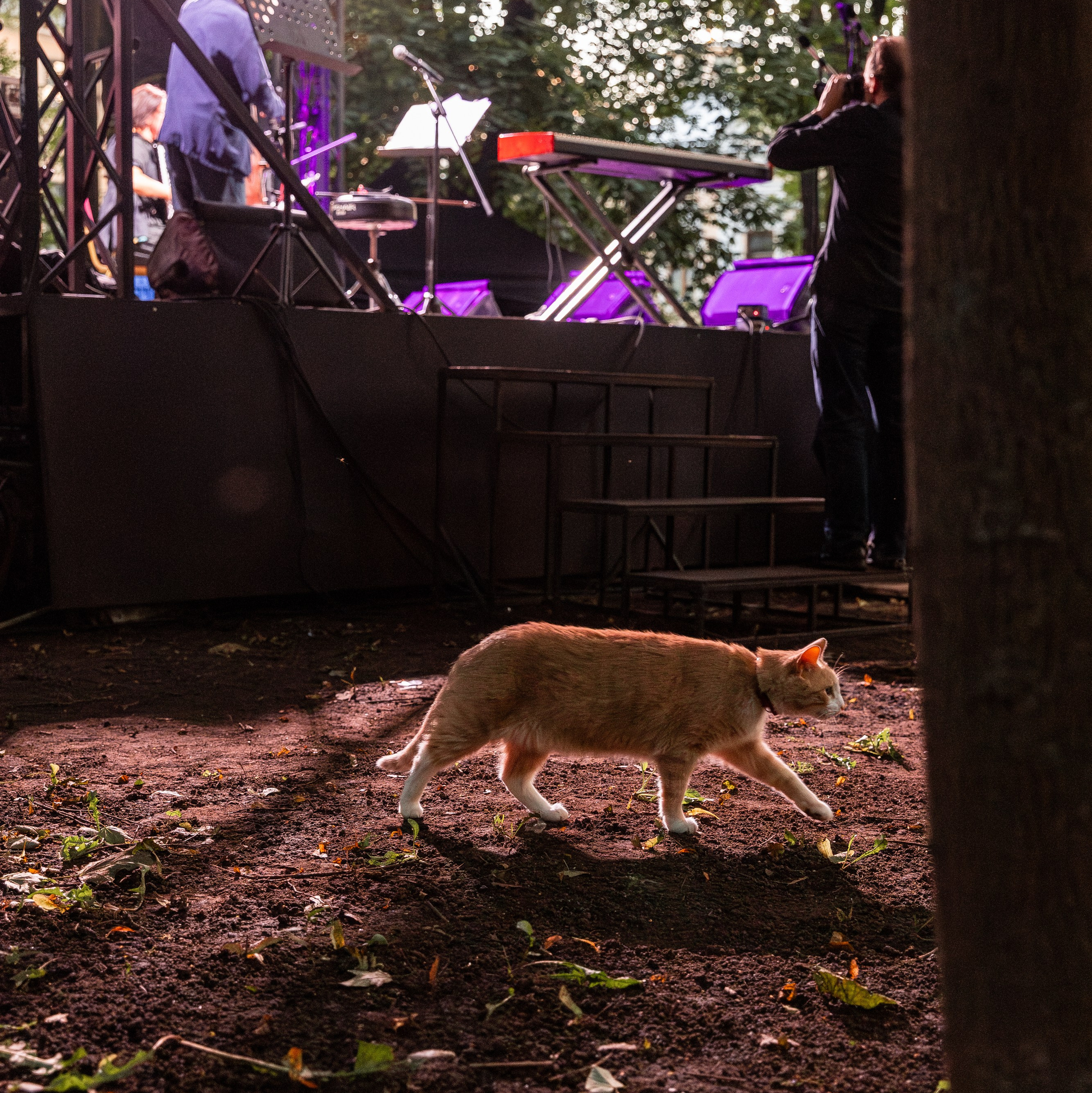 Фотограф Евгения Стриженова. Публикации в СМИ. Евгения Стриженова — репортажный фотограф в Санкт-Петербурге