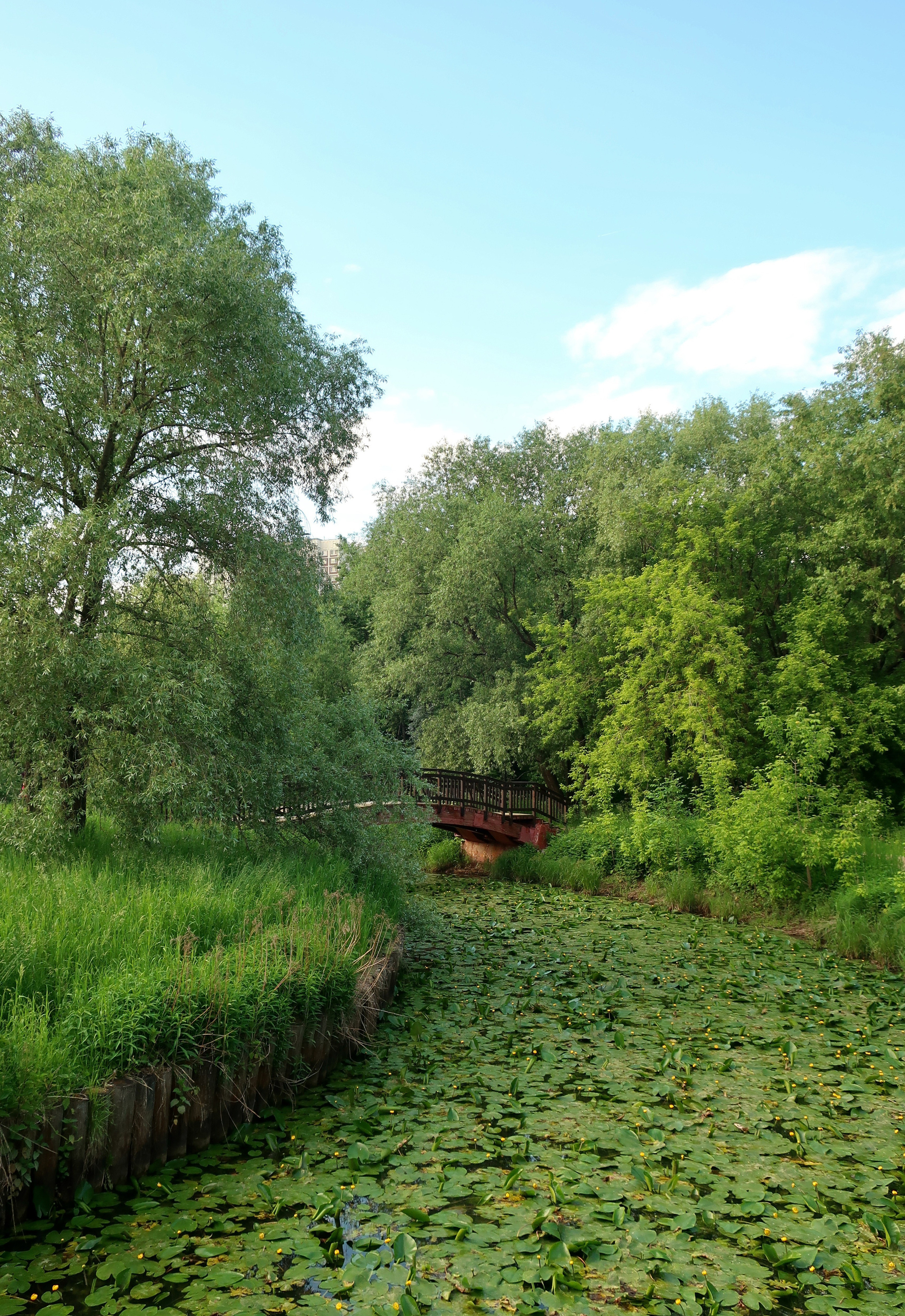 Парки Яуза, Свиблово и Свибловские пруды. Проект «Фотокладовка»: блог уличной фотографии в формате street photo
