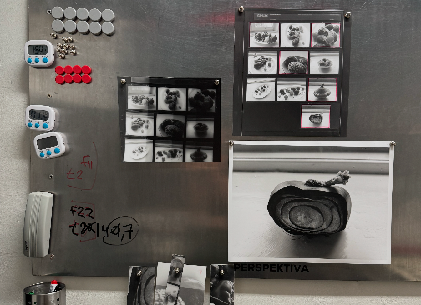 PRINTS. Daria Blinova