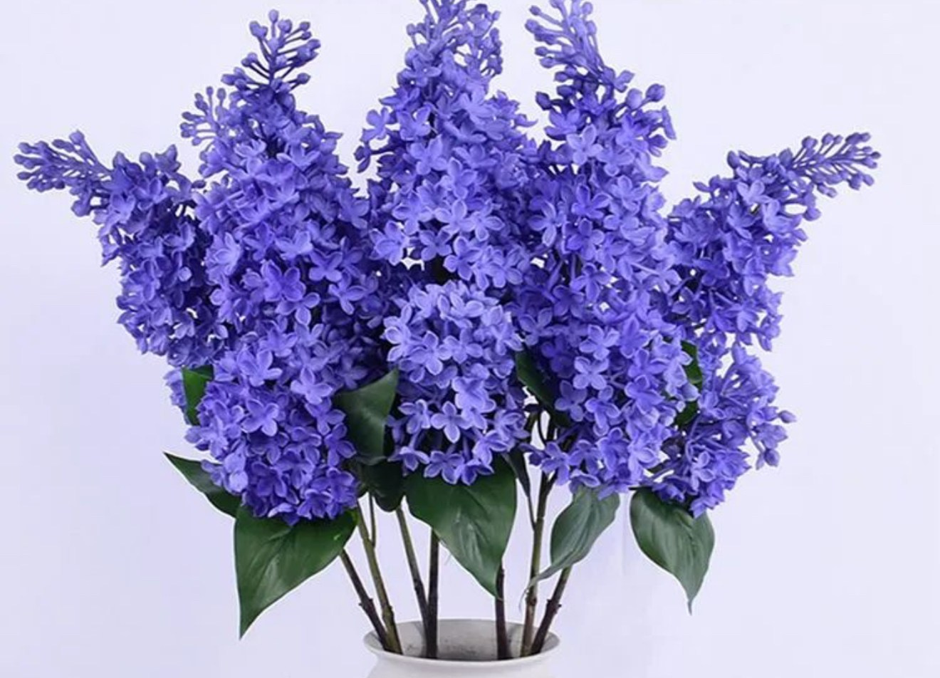 Искусственные цветы в студии. Фотостудия в Строгино