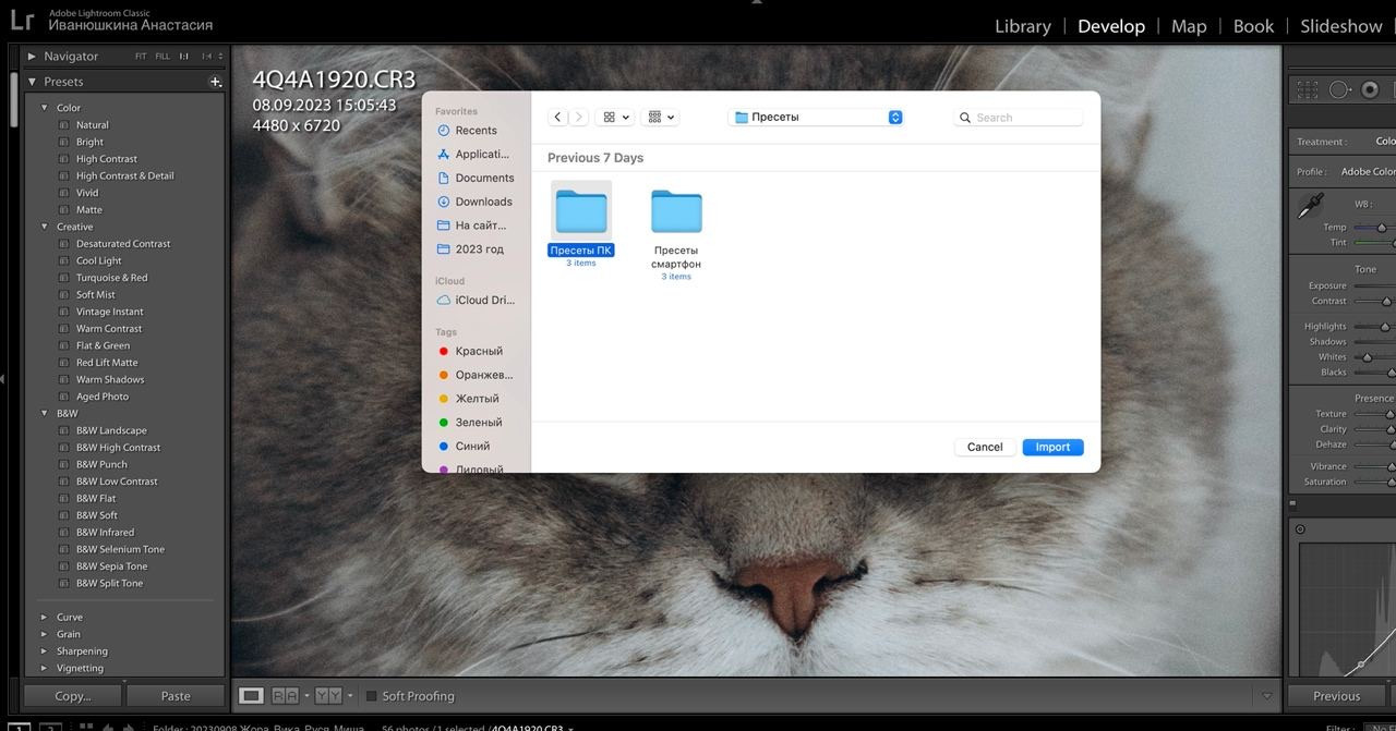Установка пресетов Lightroom. Семейный и детский фотограф в Воронеже Настя Жукова