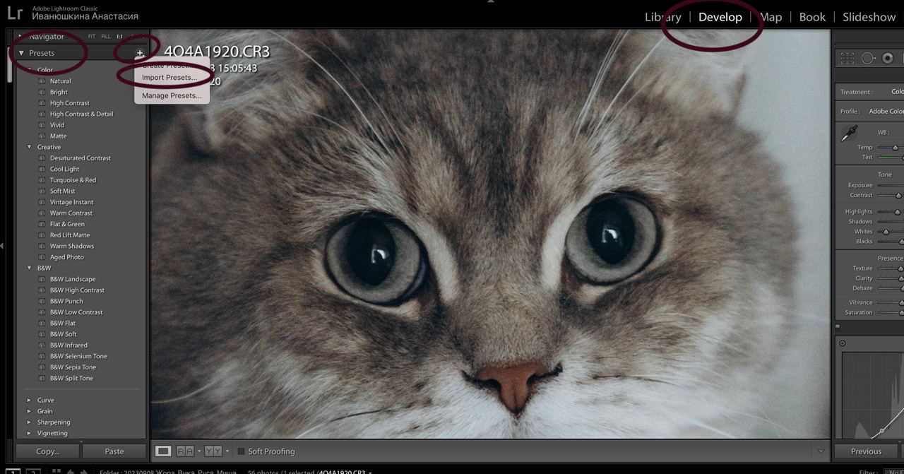 Установка пресетов Lightroom. Семейный и детский фотограф в Воронеже Настя Жукова