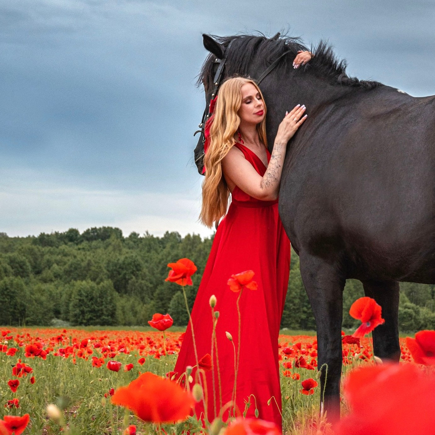 Услуги и цены. Фотограф анималист