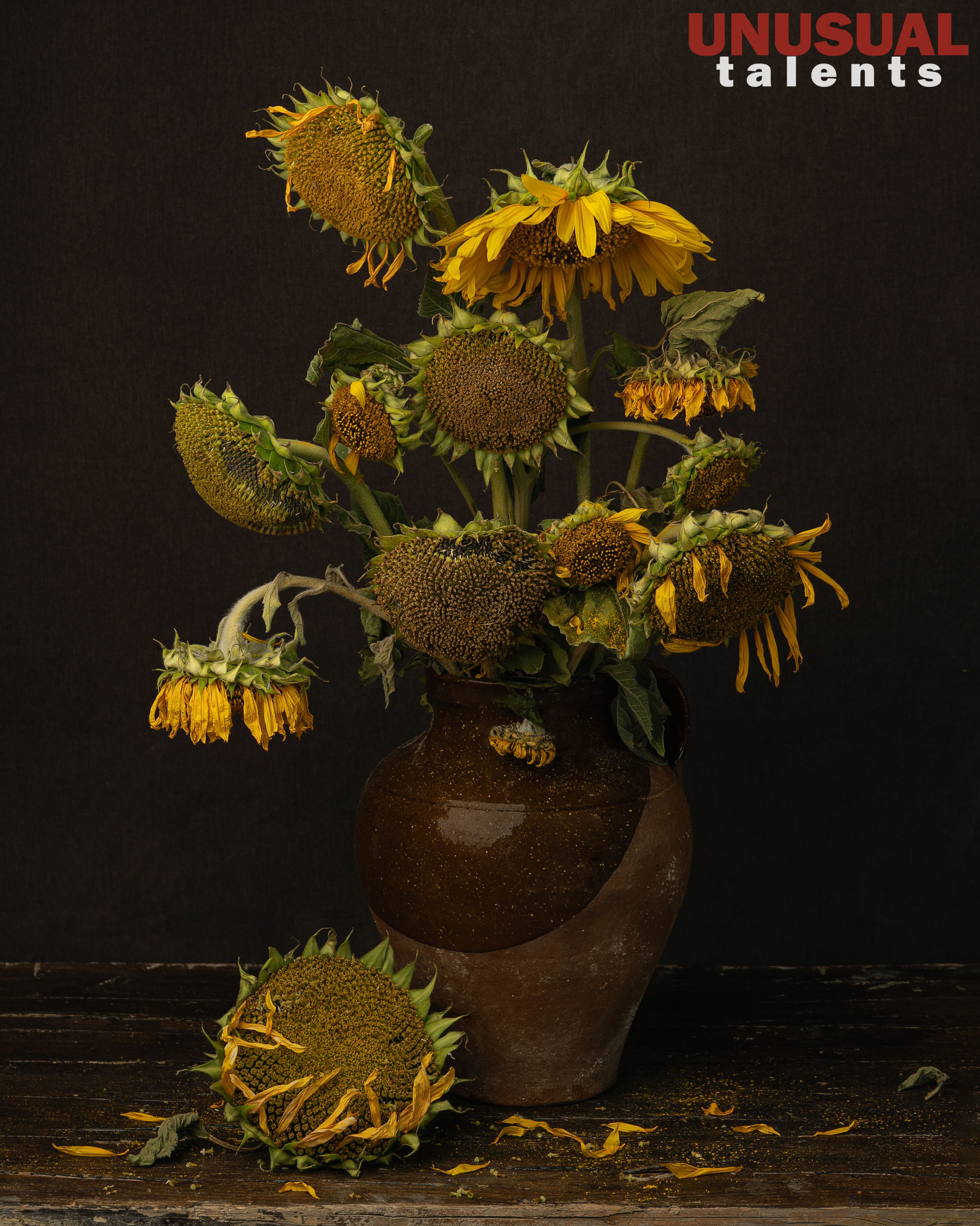 Diana Trillo. UNUSUAL TALENT magazine