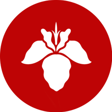 kulakovaelena.wfolio.pro