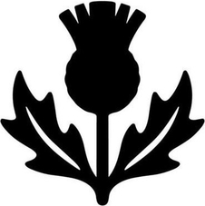 bolshoylopuh.ru