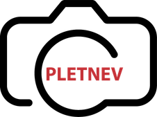 dmitry-pletnev.ru