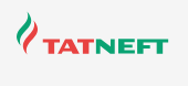 &nbsp;«Татнефть»&nbsp; &nbsp;ресурсная база Татнефти включает одно из&nbsp;крупнейших в&nbsp;мире Ромашкинское месторождение. К&nbsp;крупным месторождениям Компании также относятся Ново-Елховское, Бавлинское, Бондюжское, Первомайское, Сабанчинское, Архангельское, Ашальчинское. За&nbsp;пределами Татарстана в&nbsp;Российской Федерации разведка и&nbsp;добыча ведутся на&nbsp;территориях Ненецкого АО, Ульяновской, Самарской, Оренбургской областей, Республики Калмыкия.&nbsp;&nbsp;
