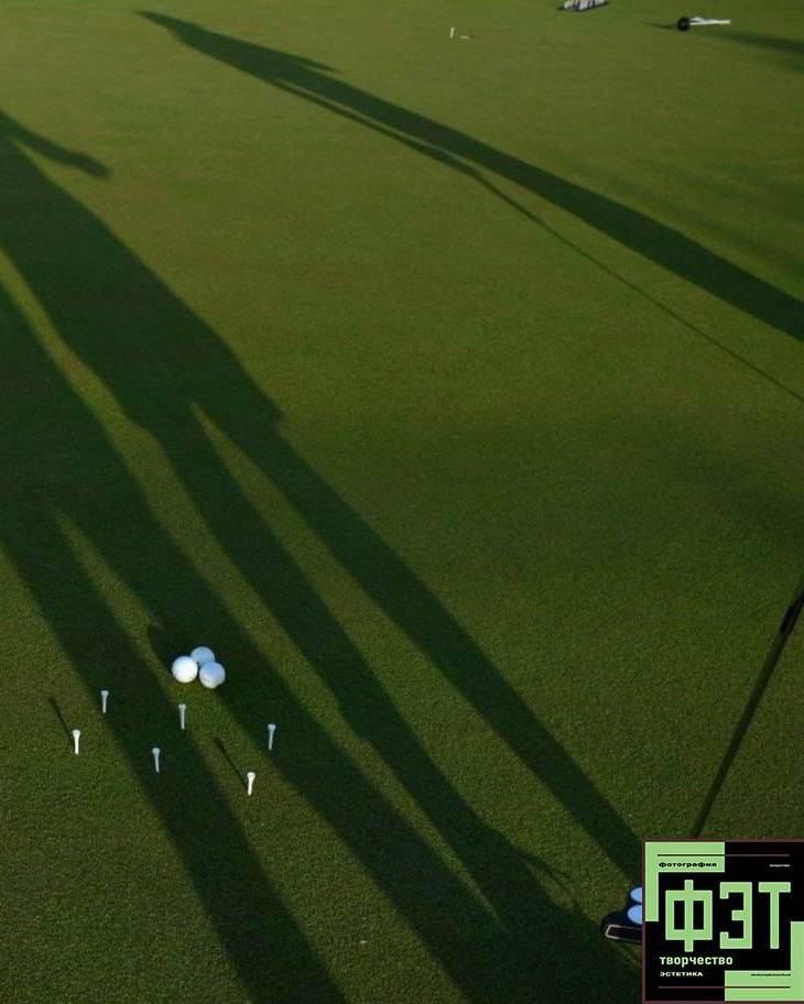 Альбом от 30.11.25 в рамках фотоконкурса ФЭТ: Фотография Эстетика Творчество