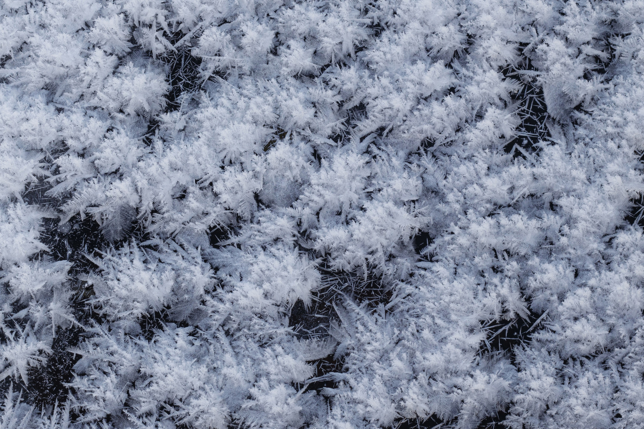 Winter in Vyshny Volochyok – Artistic Photography of Snowy Landscapes