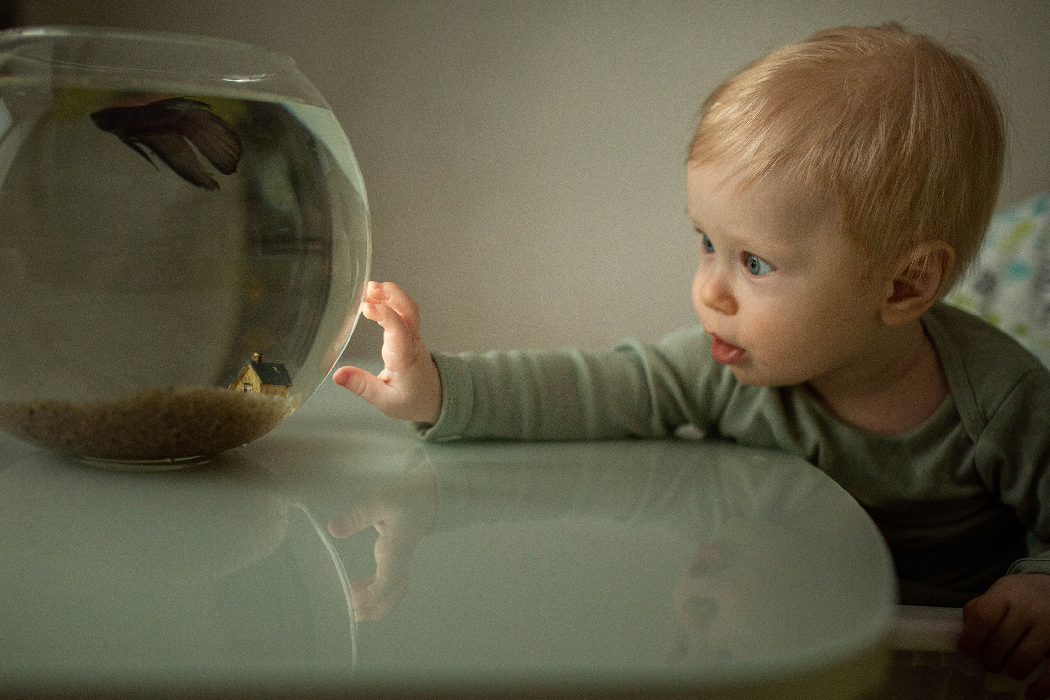 Услуги. Семейный и детский фотограф в Ярославле Наталия Тачкова