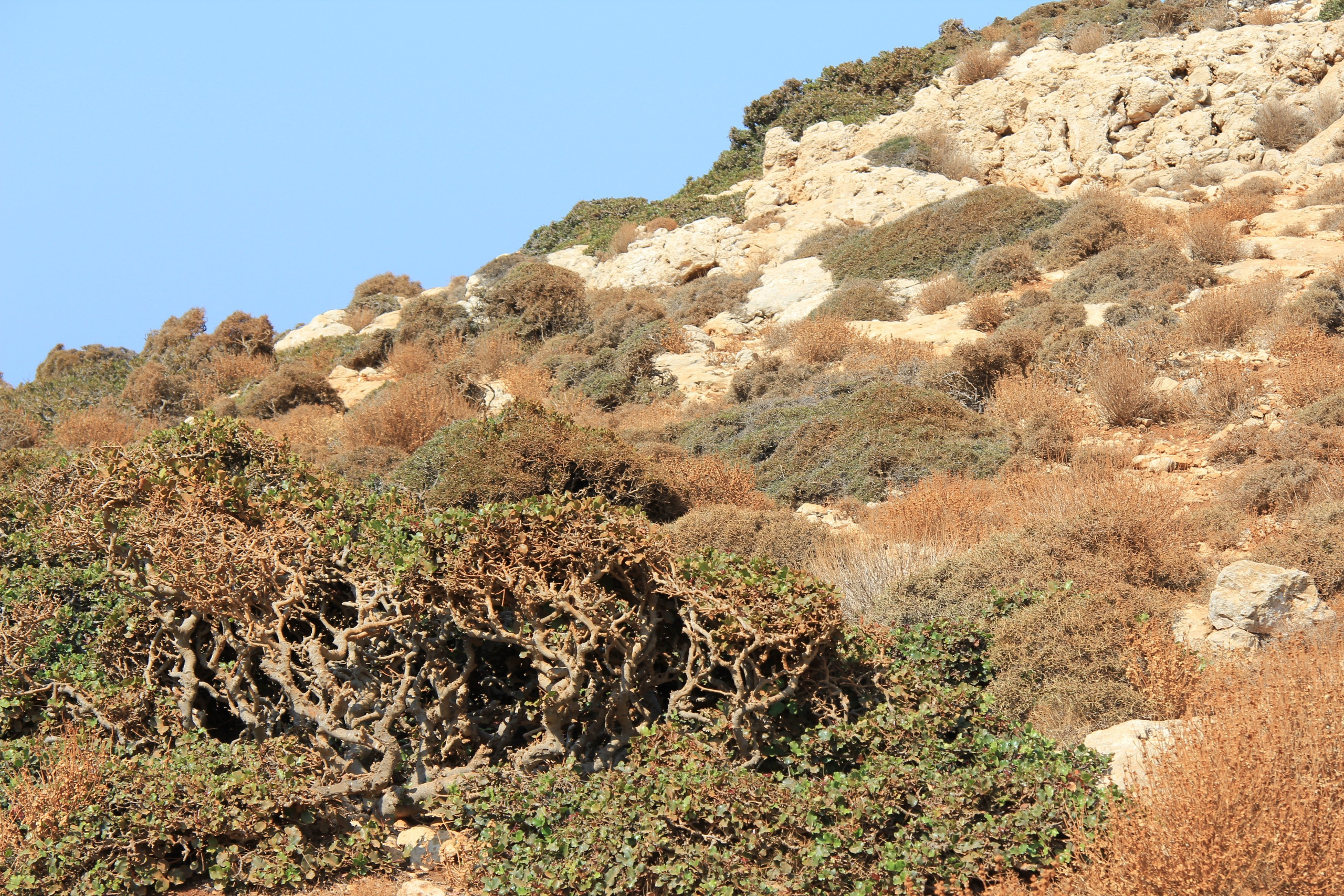 Греция (2014) — Избранные серии — Документальный фотограф Настя Сергеева