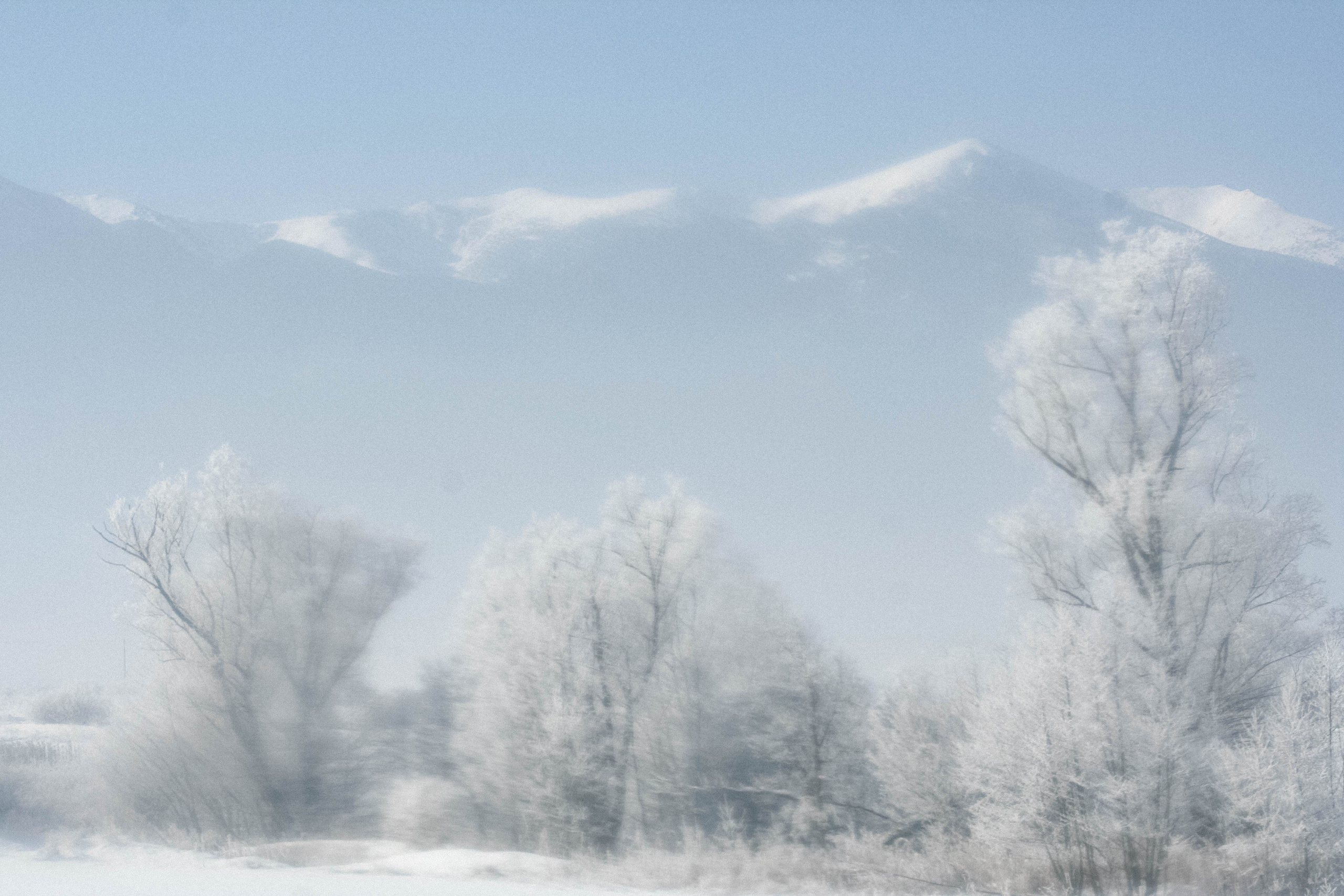 выставка 2025, выставка фотографии, выставка 2026, выставка зимней фотографии, выставка москва, фотовыставка