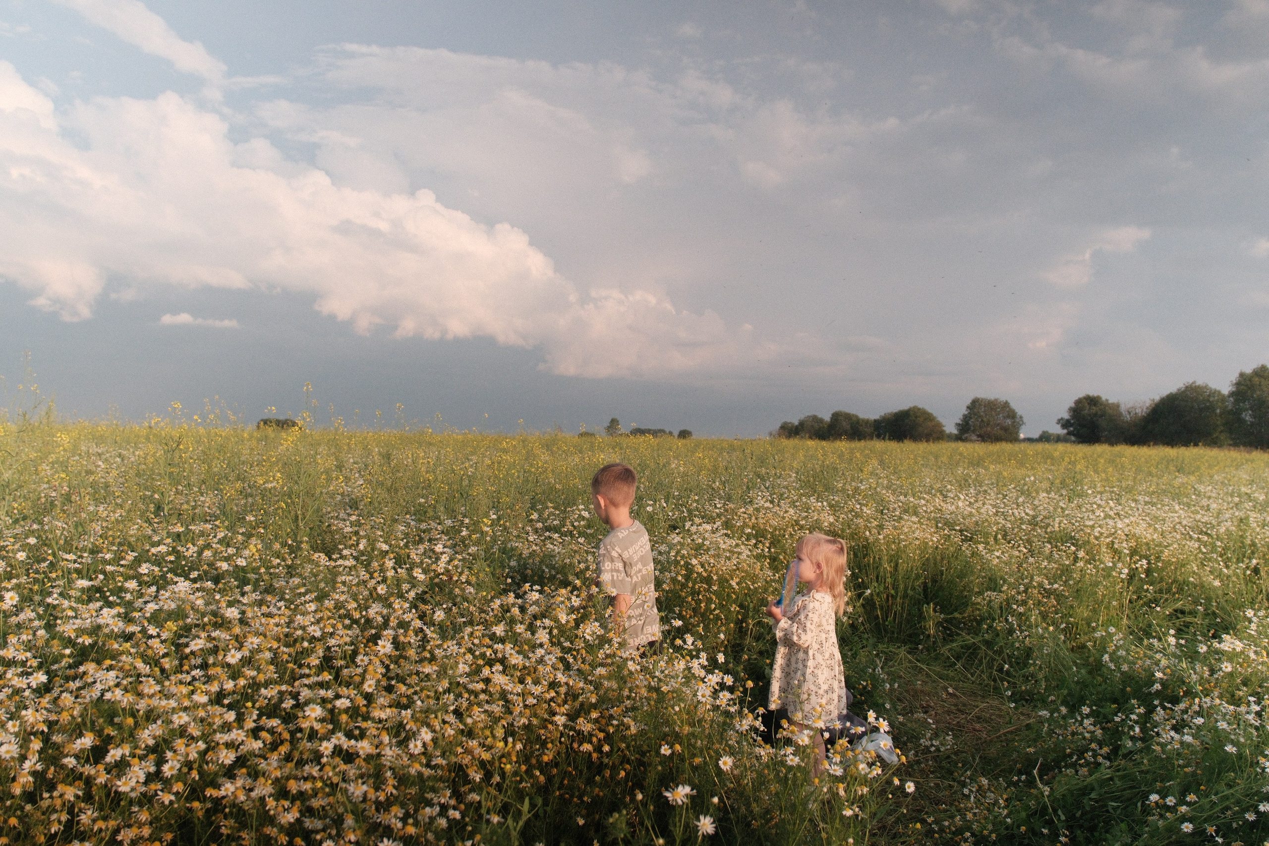 Семейное кино. Видеограф Ярославль Москва Кострома. Съемка контента, свадебное и семейное видео
