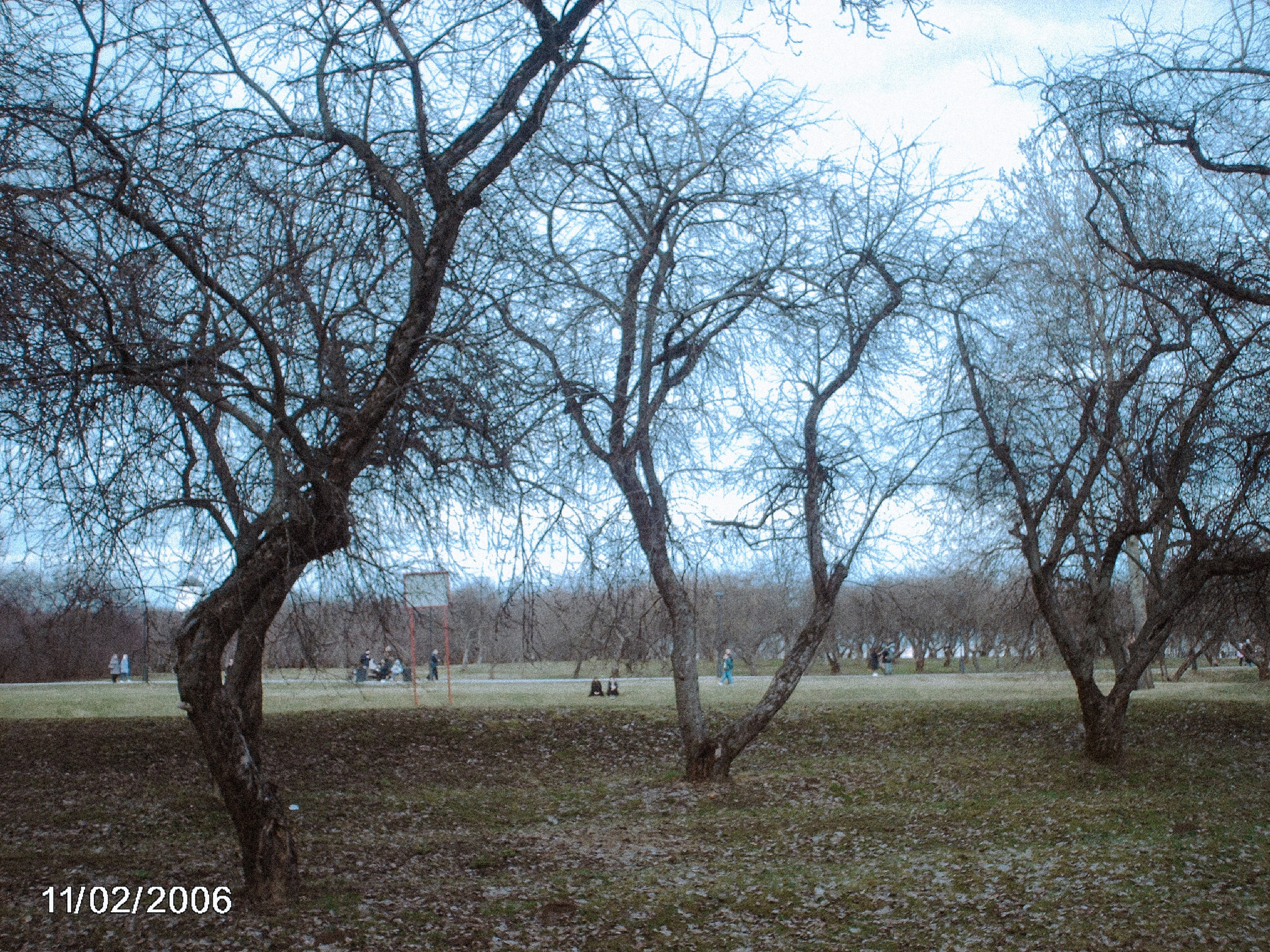 Моя весна, снятая на мыльницу из нулевых. Фотограф и видеограф Анастасия Витюкова | Екатеринбург