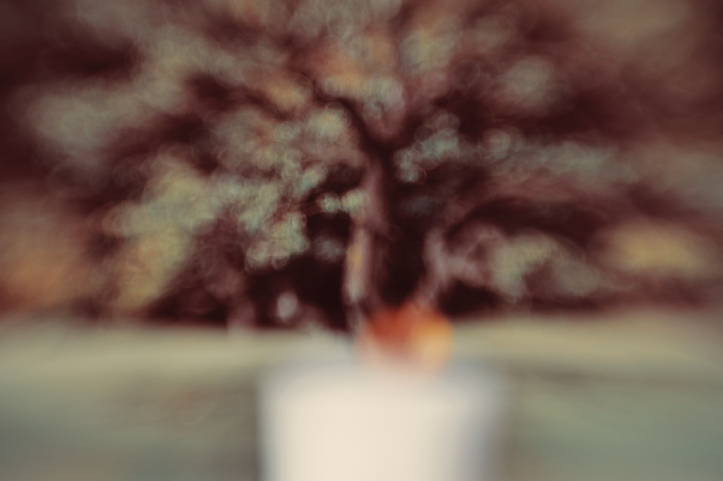 ART BEYOND REASON. International visual artist