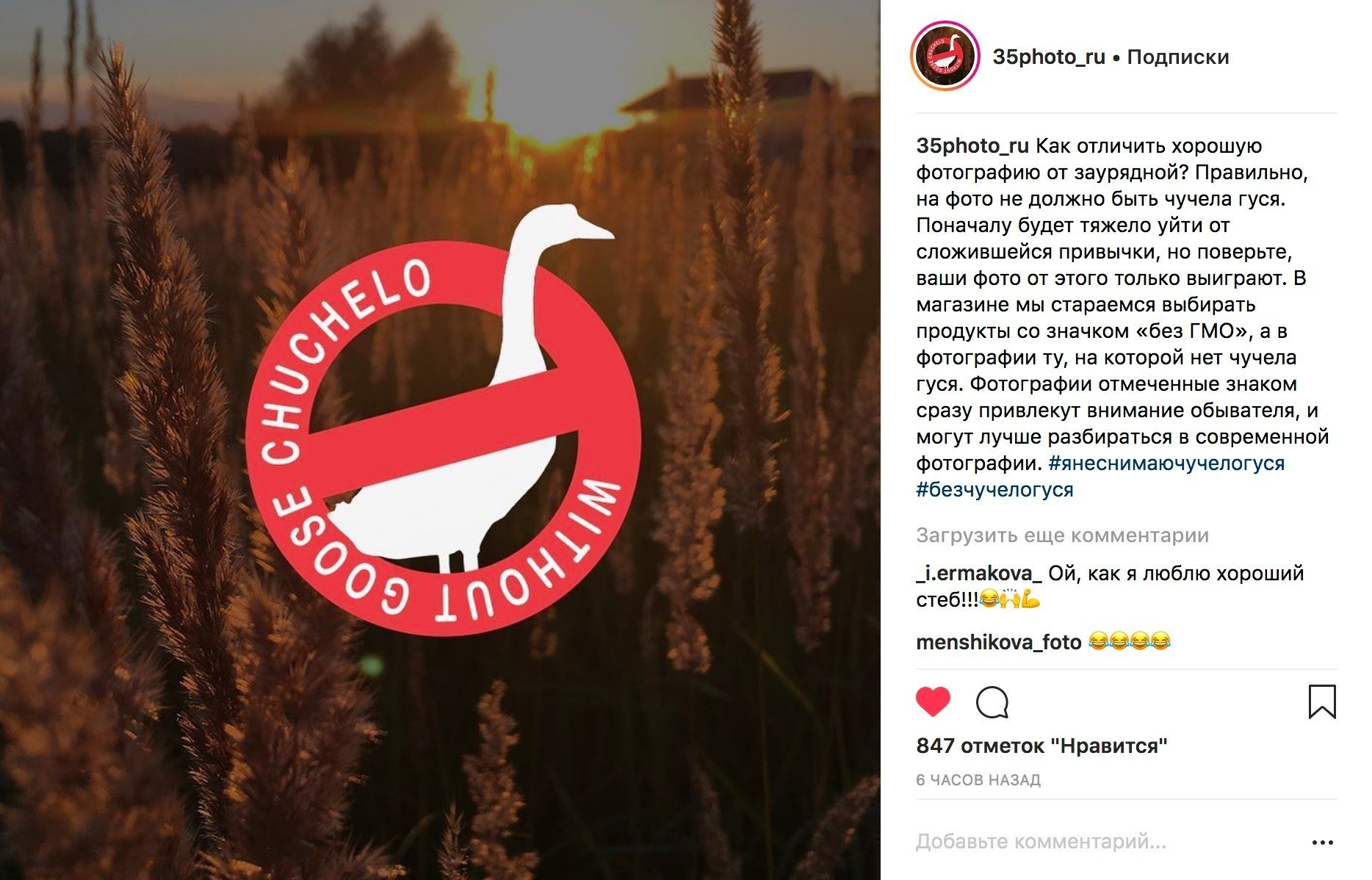 #яНеСнимаюЧучелоГуся. Фотограф Константин Шамин