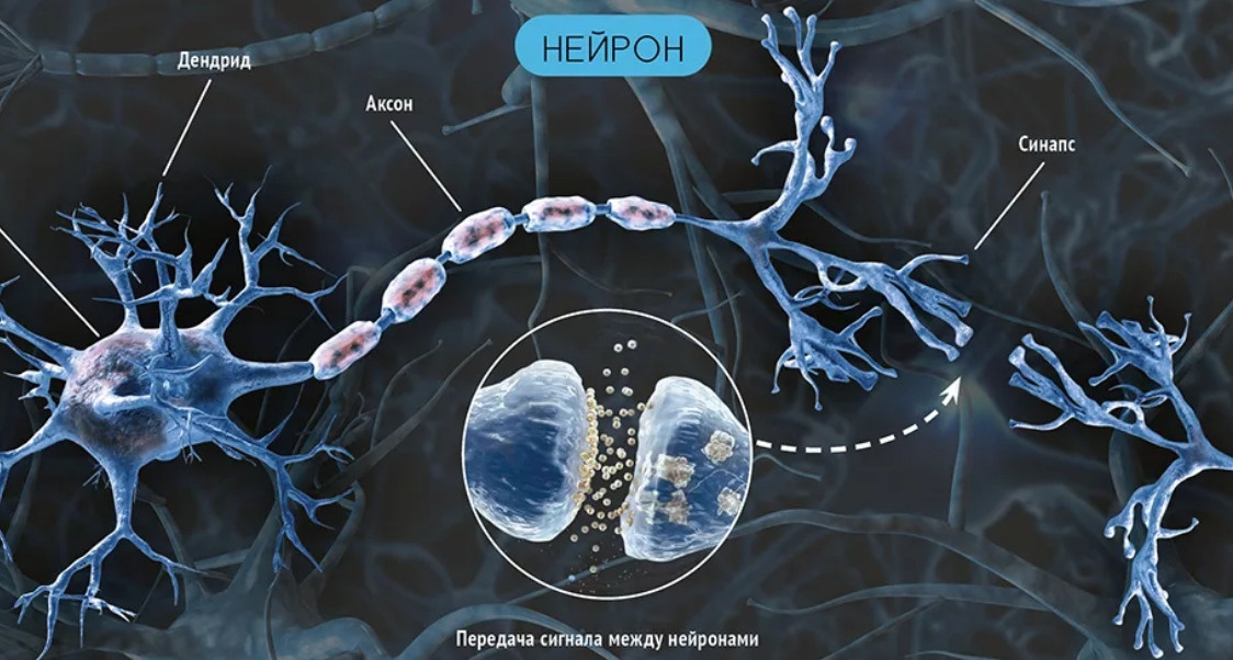 Влияние письма на развитие детей. Каллиграф Константин Парсаданов