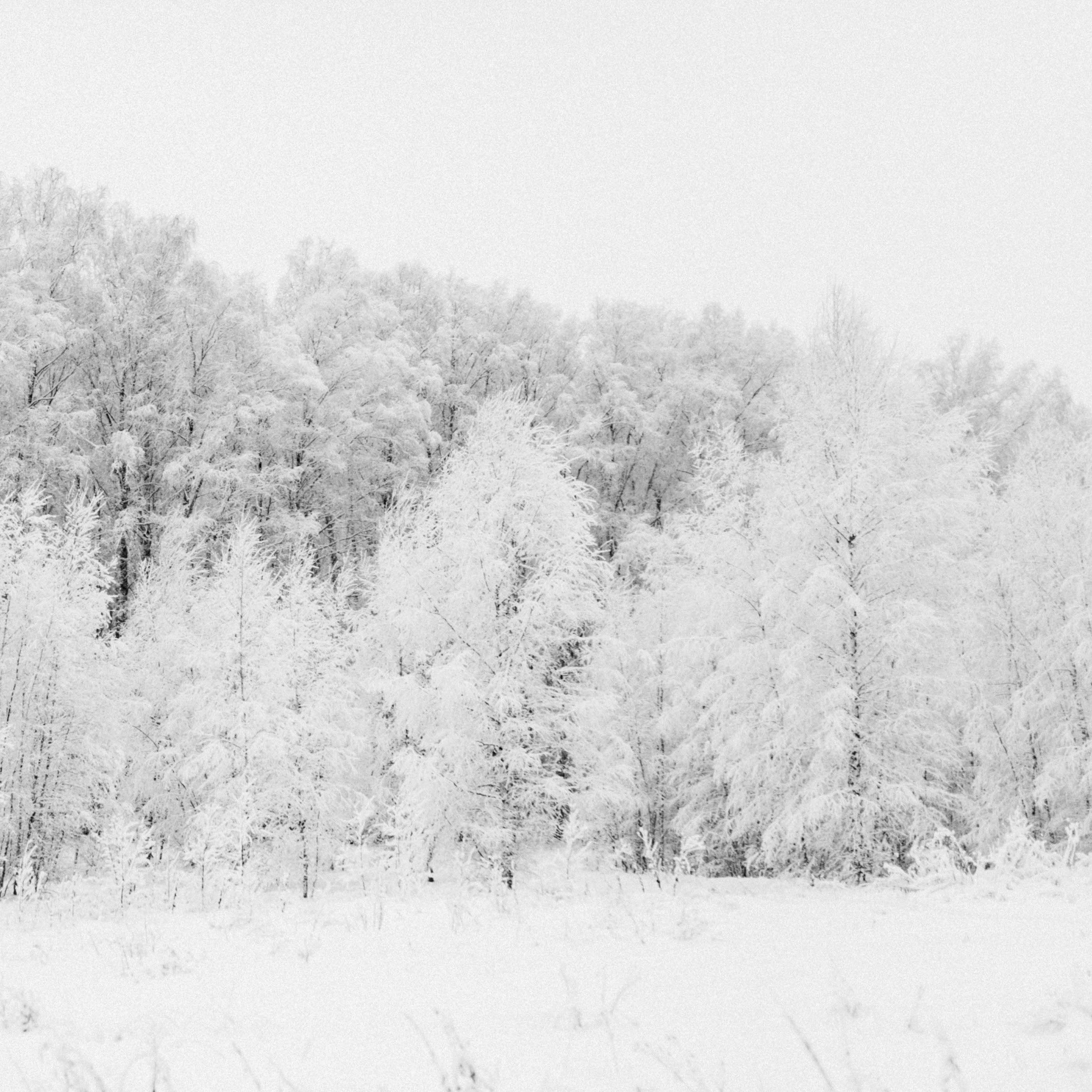 выставка 2025, выставка фотографии, выставка 2026, выставка зимней фотографии, выставка москва, фотовыставка