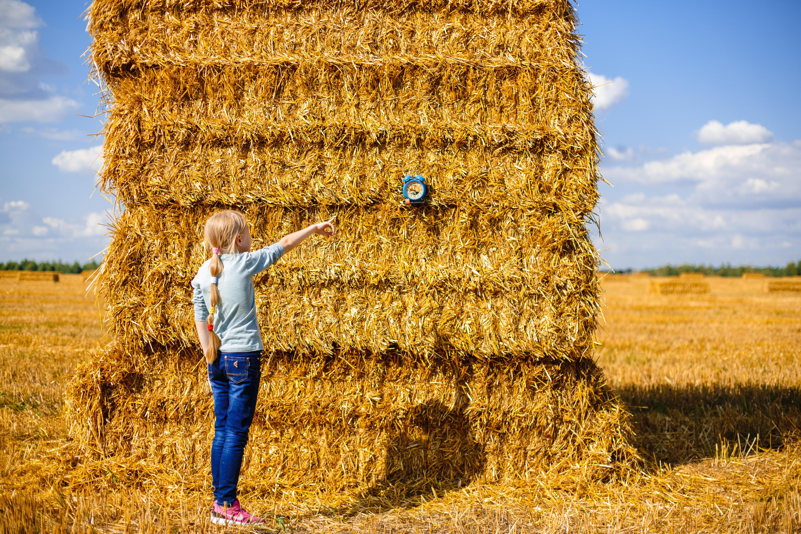 Акции. Фотограф Ольга Махалова — Санкт-Петербург, Москва, Нижний Новгород
