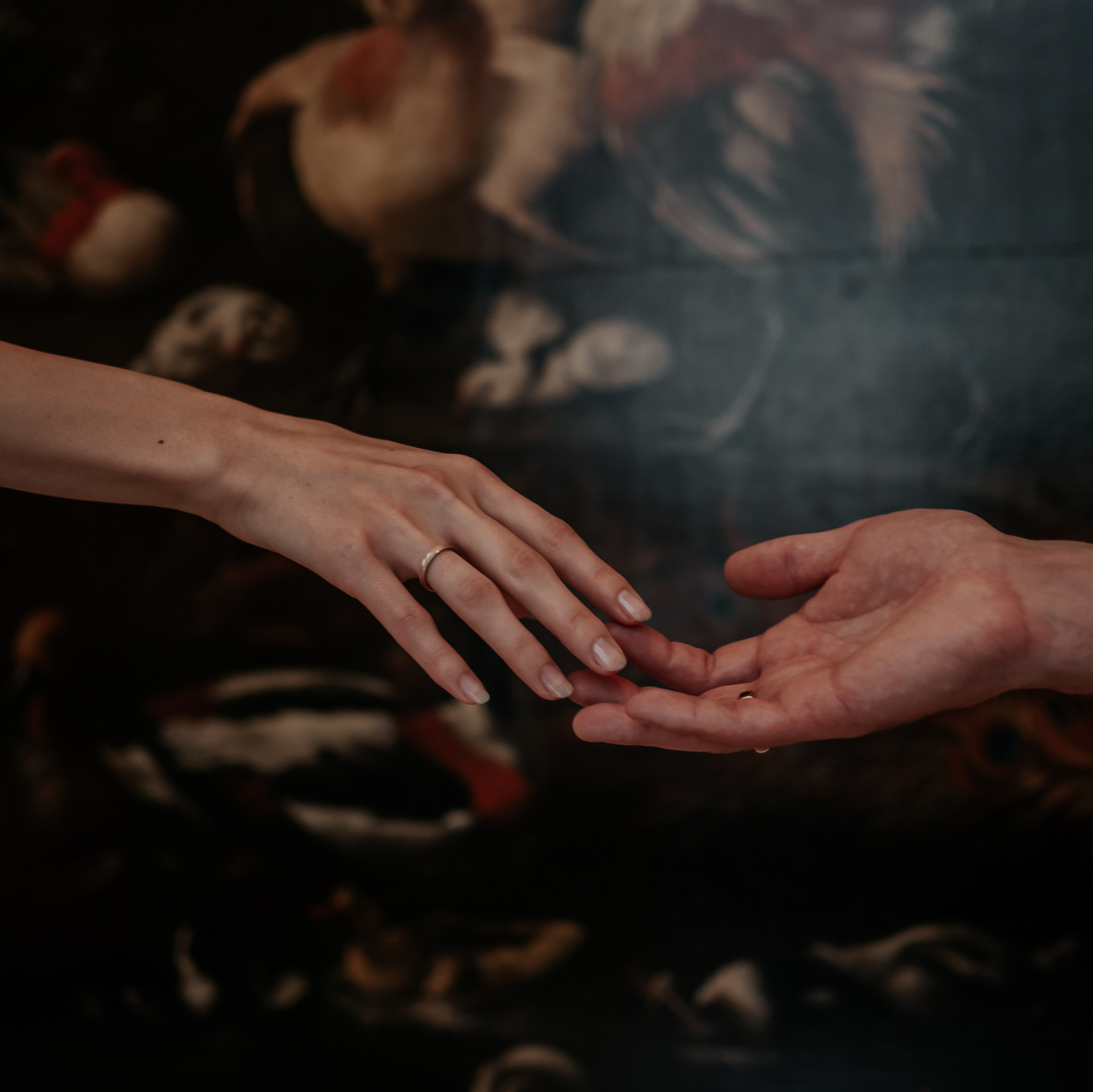 Стоимость. Фотограф и видеограф в Санкт-Петербурге