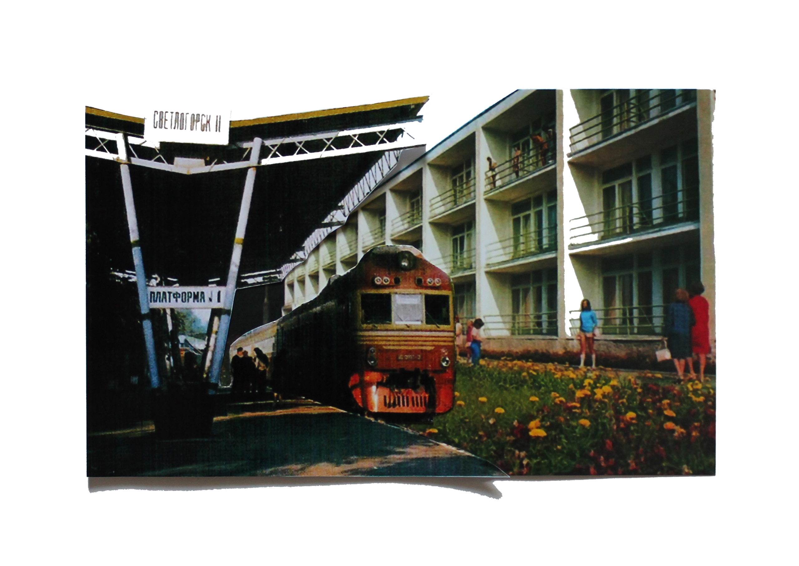 коллаж автор Юлия Горбунова, проект День без числа