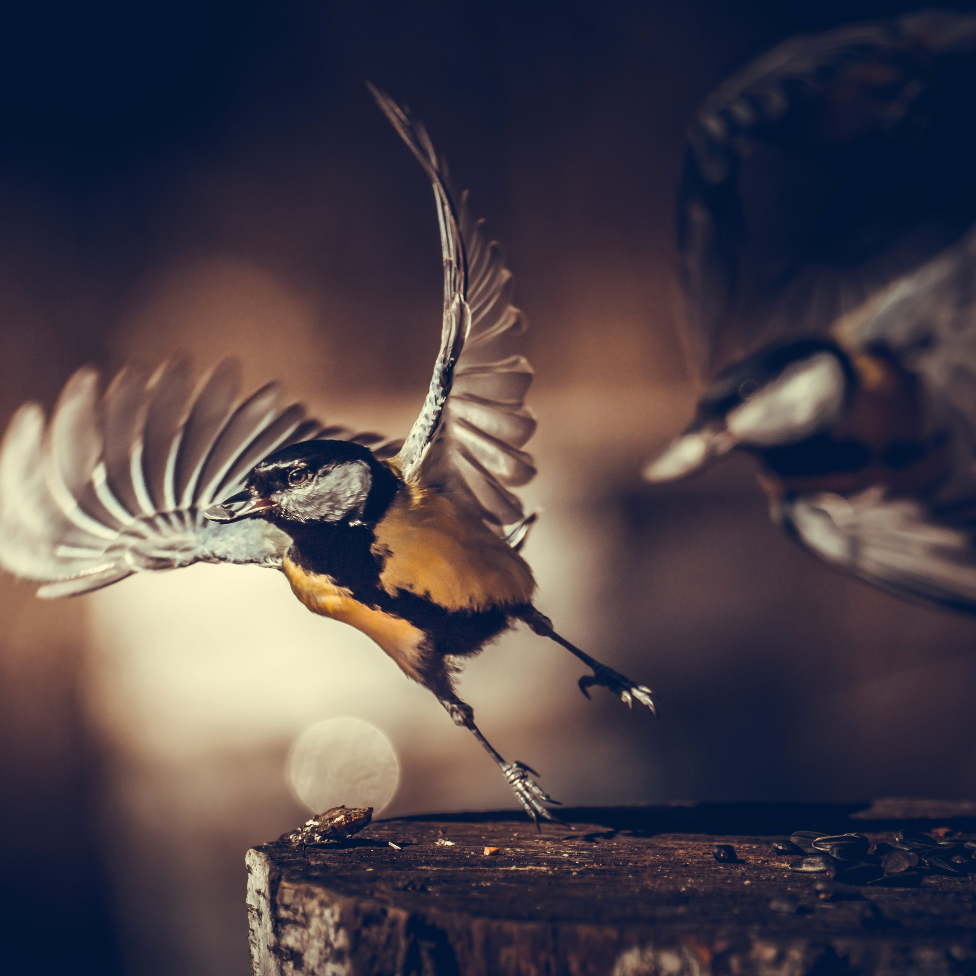 Контакты. Oles Paritskiy