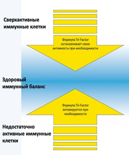 Трансфер фактор. Медицина с душой