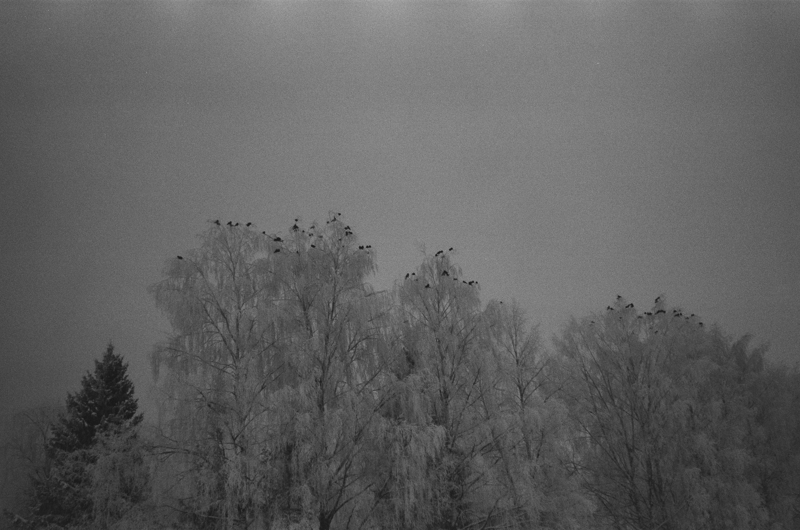 Зарисовки — Зима — Документальный фотограф Настя Строчкина