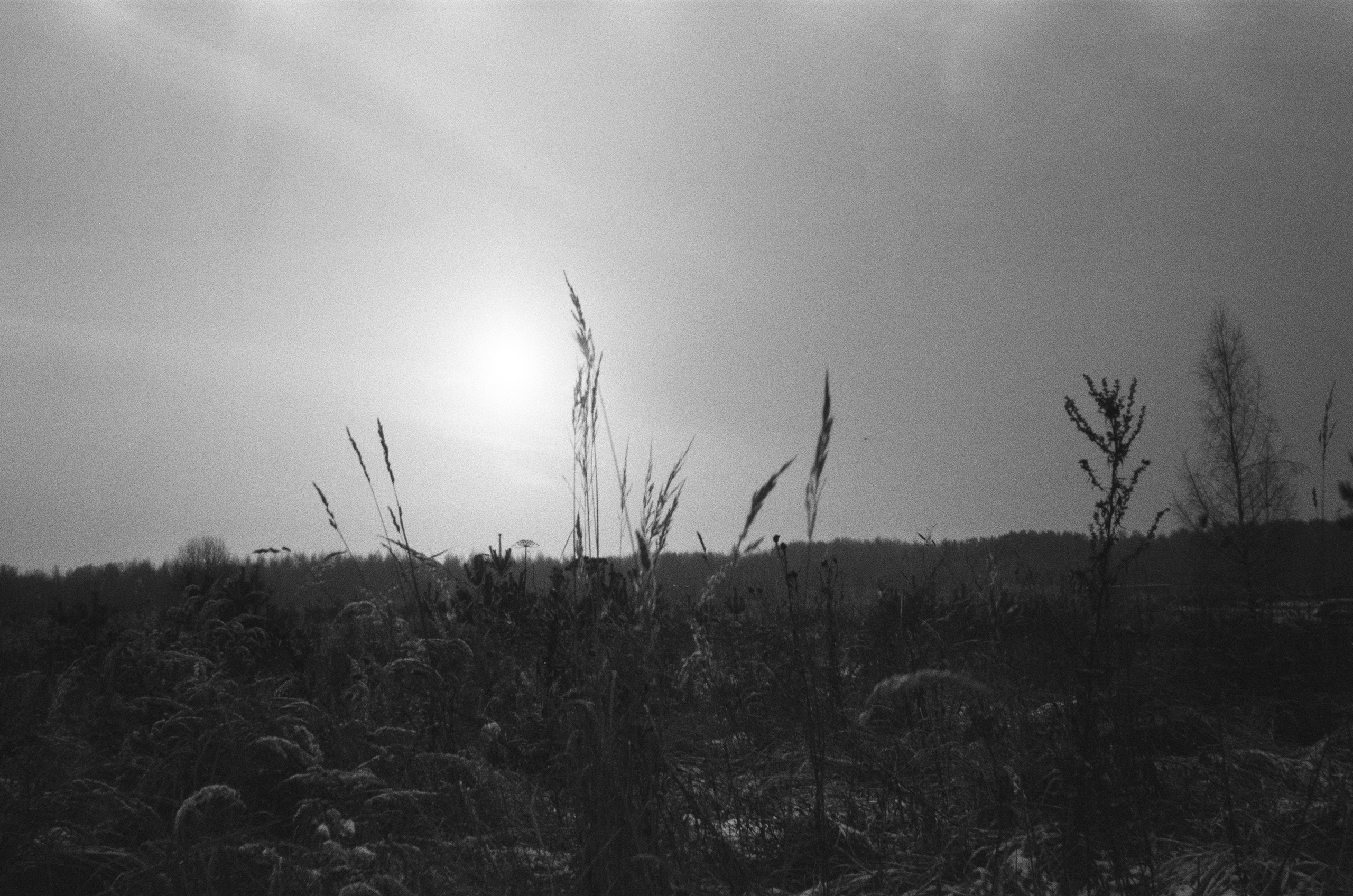 Зарисовки — Зима — Документальный фотограф Настя Строчкина