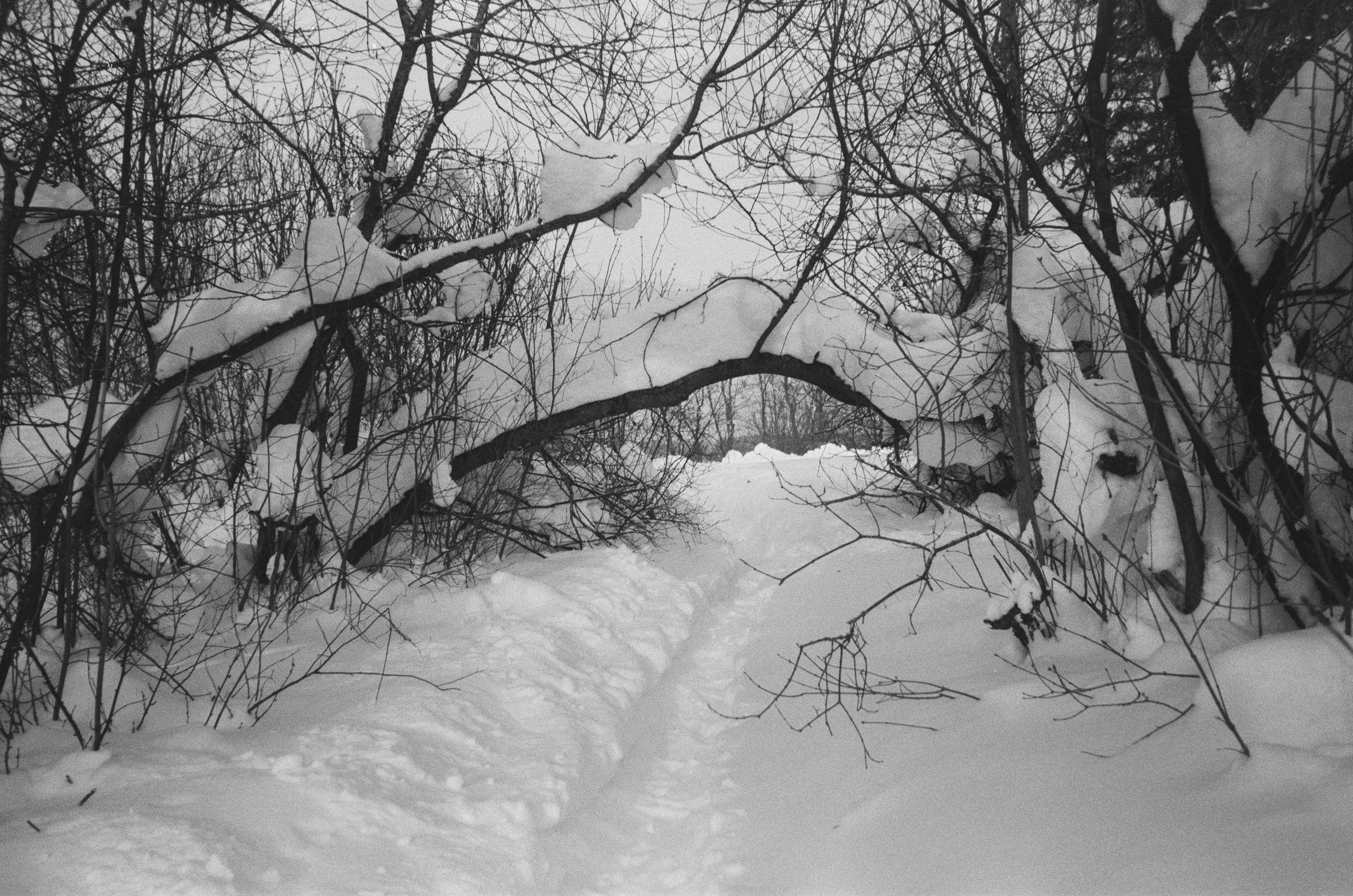 Зарисовки — Зима — Документальный фотограф Настя Строчкина