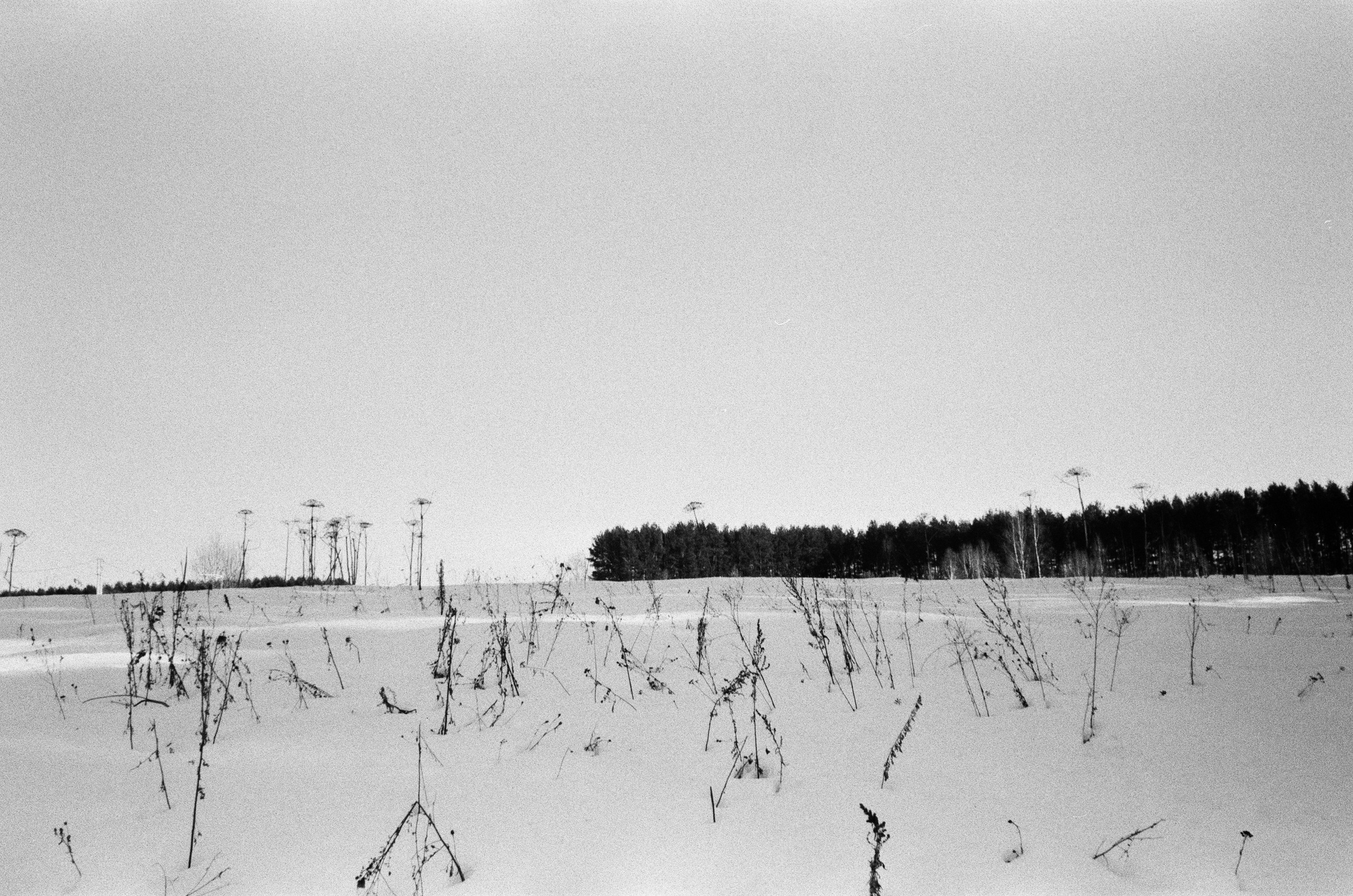 Зарисовки — Зима — Документальный фотограф Настя Строчкина